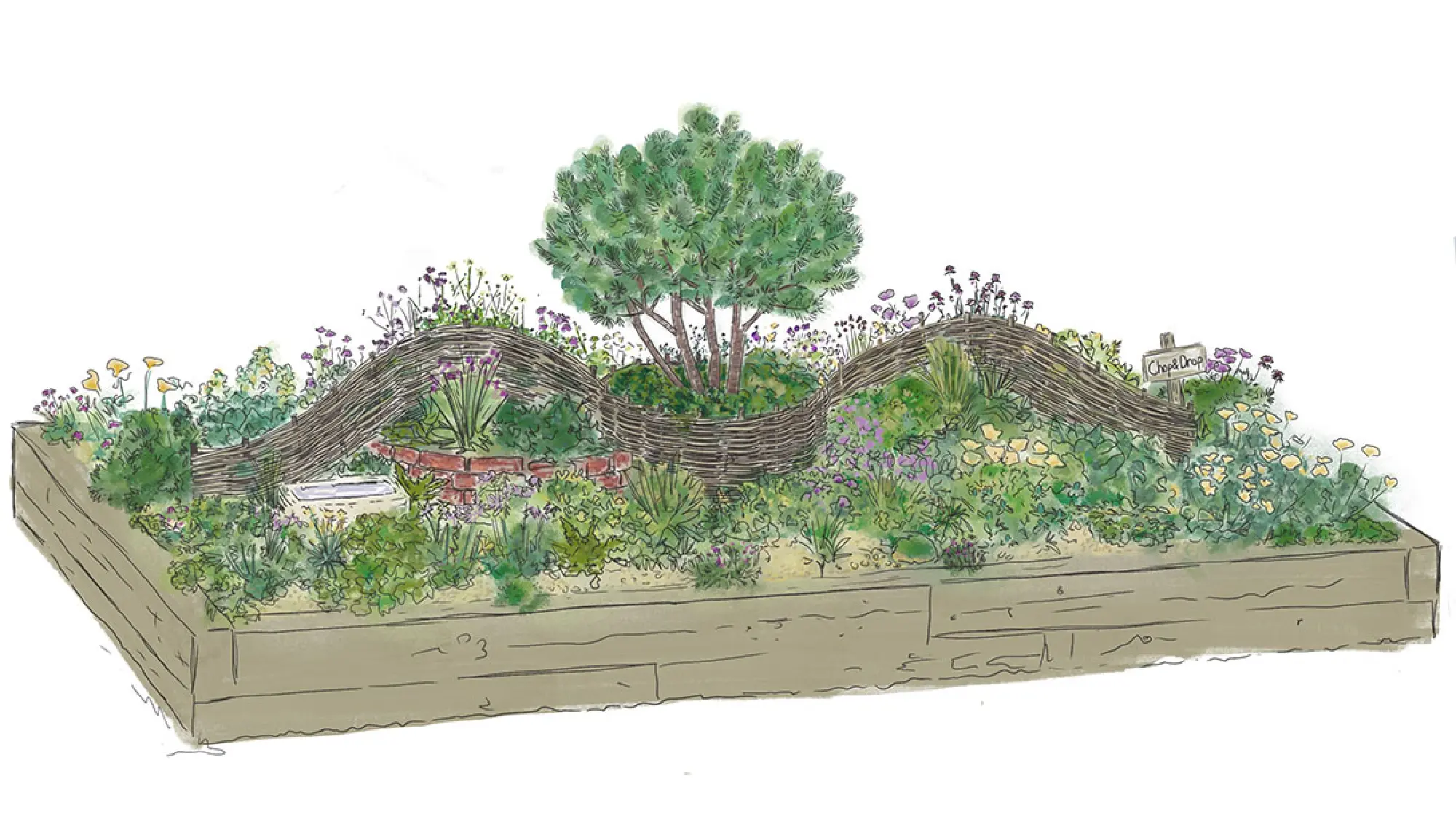 The Norfolk Weave Border: Kind to Soil, Nature and Soul