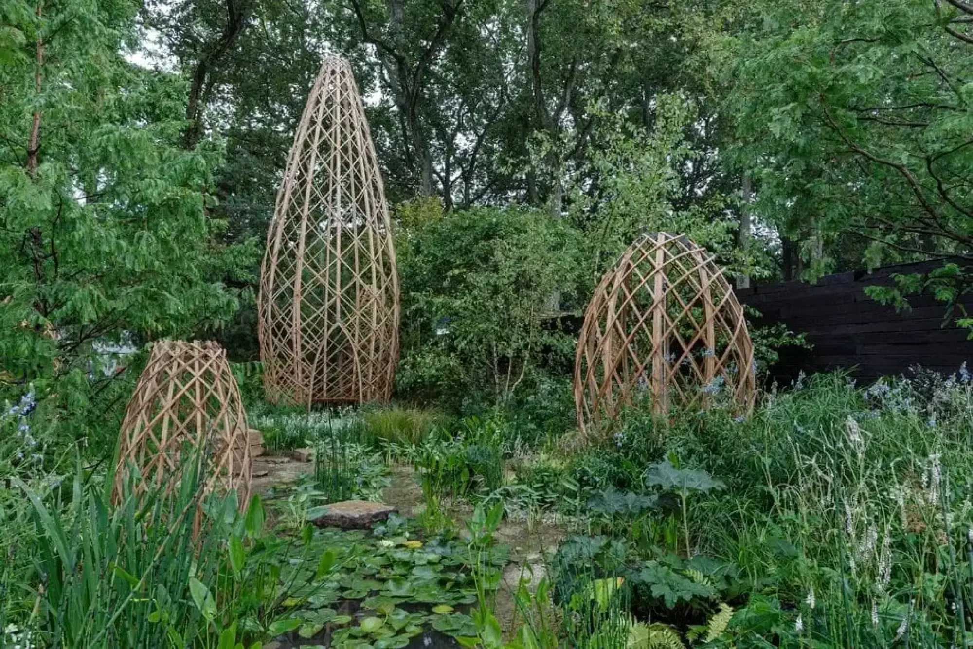 A naturalistic show garden features a water pond with water lilies, lush green planting, and three large, woven bamboo conical structures of varying heights.