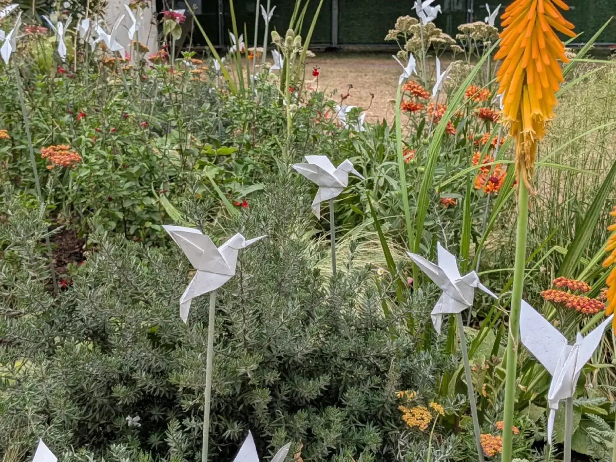 A vibrant garden border features white origami hummingbirds among tall orange Kniphofia, red Achillea, and silvery-green foliage.