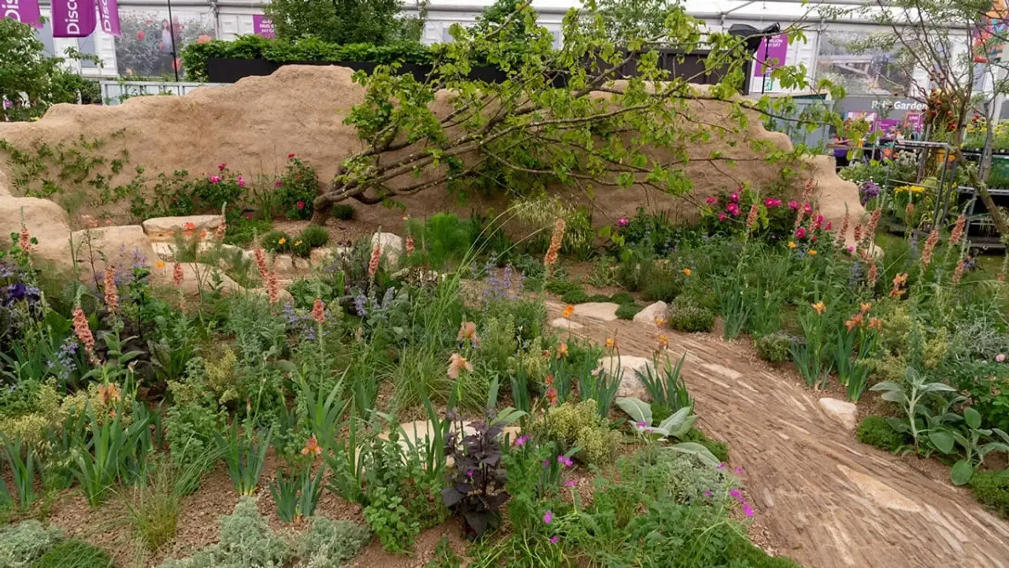 A naturalistic garden features a sculpted earth mound, a horizontal tree, and a textured timber path surrounded by green and colorful plants.