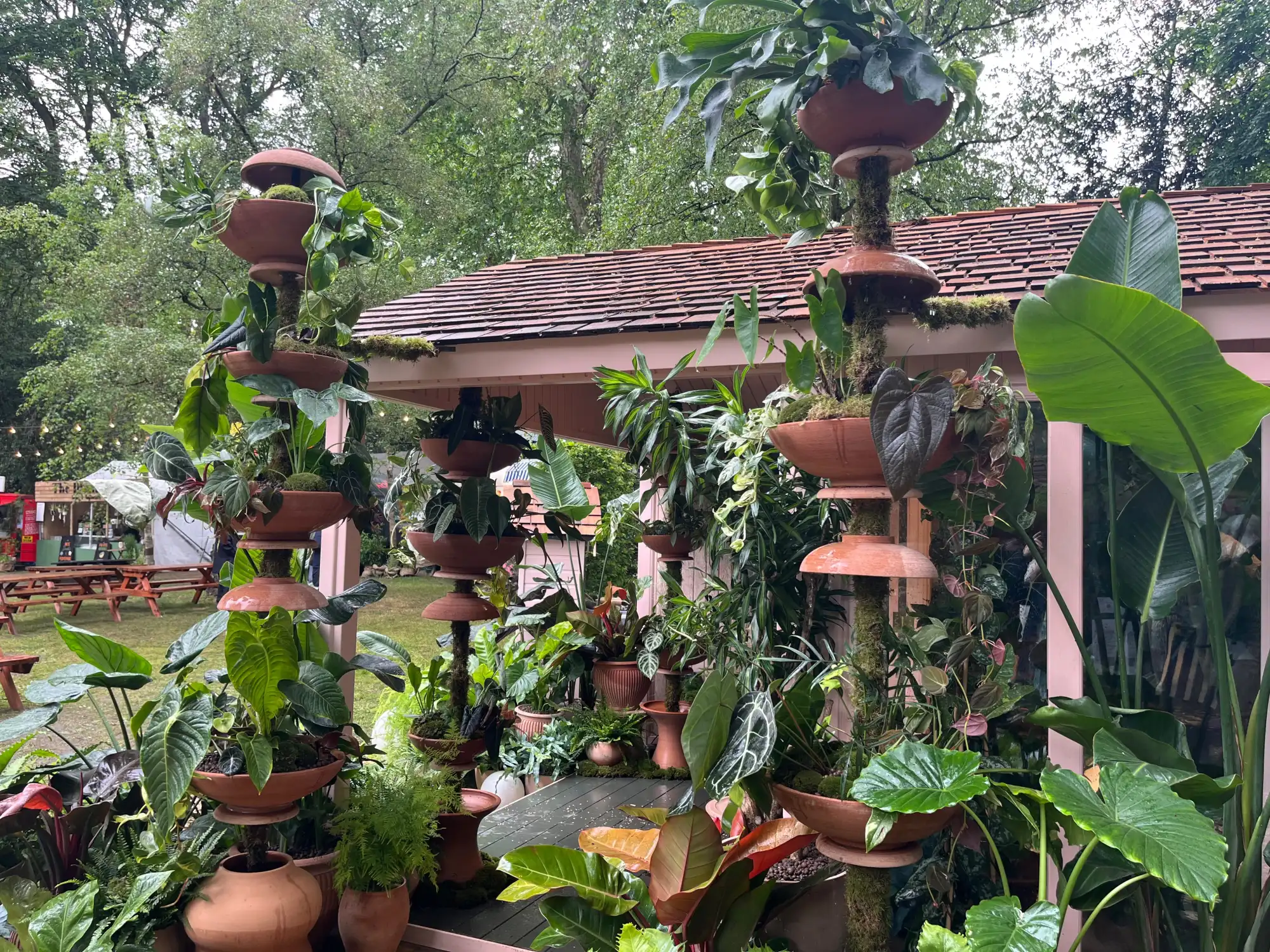 A lush houseplant studio featuring multi-tiered terracotta planters overflowing with diverse tropical foliage, set against a pale pink building.