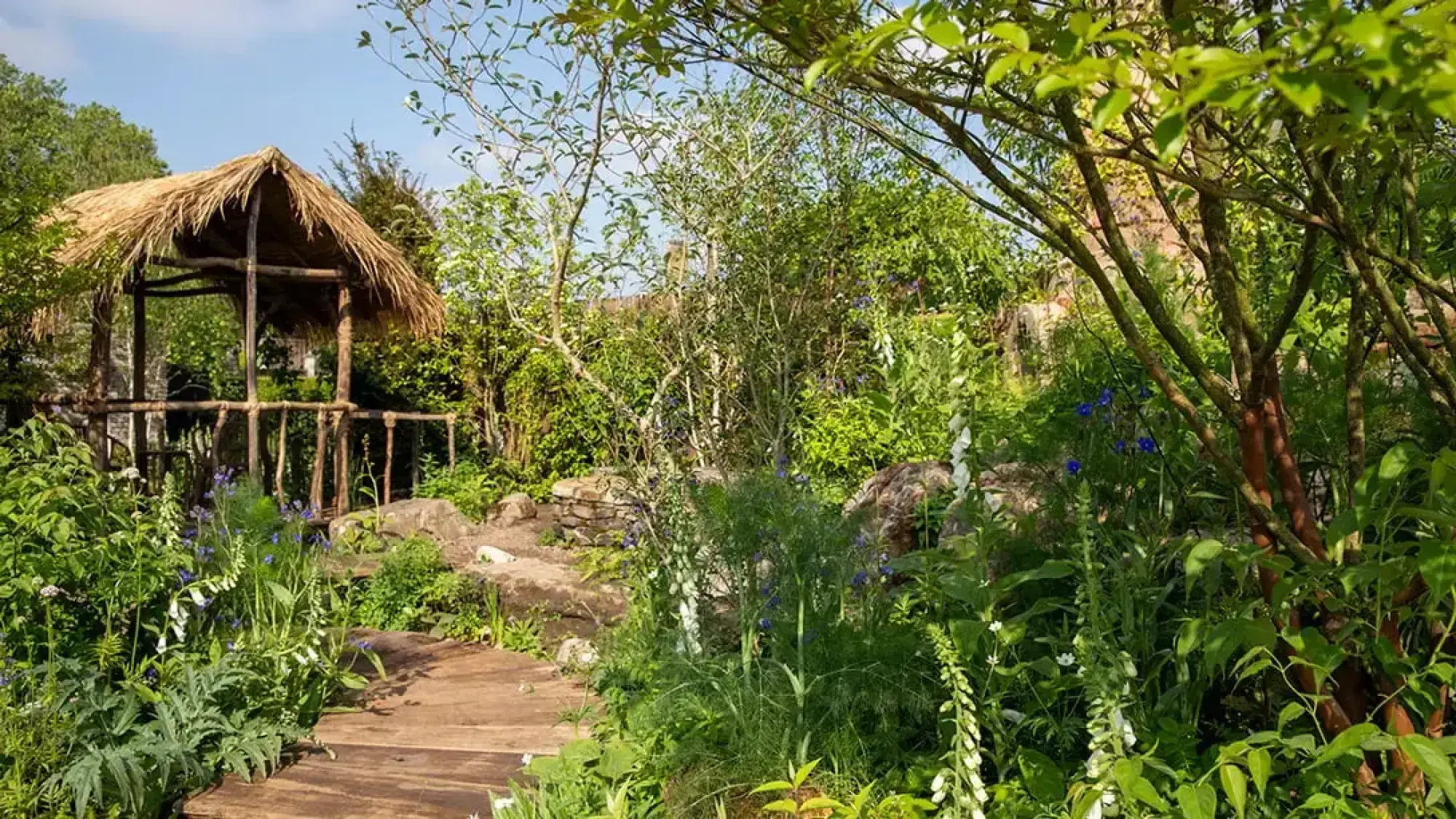 A tranquil sanctuary garden features a rustic thatched hut, a winding timber pathway, and lush green foliage with white foxgloves and blue flowers.