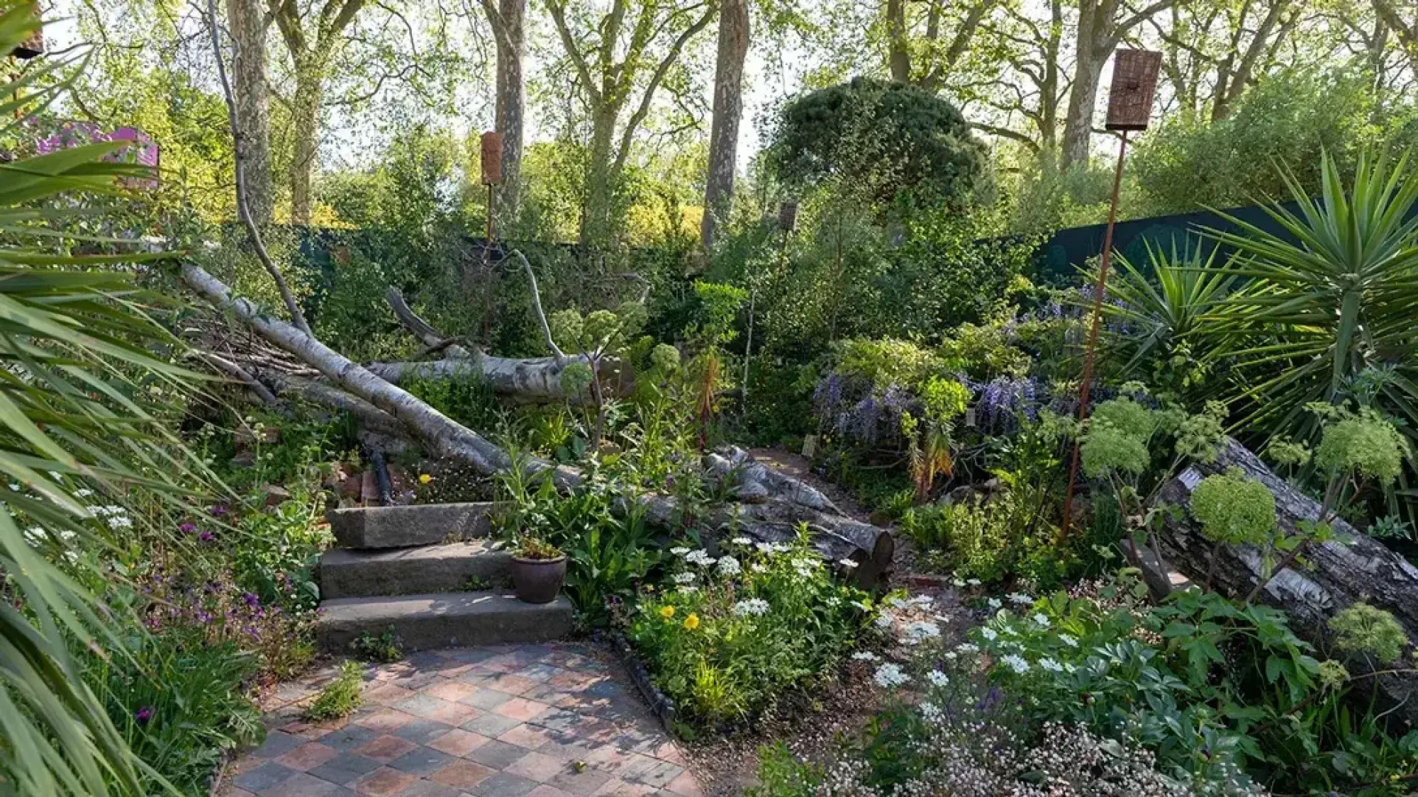The Centrepoint Garden features a naturalistic design with fallen tree trunks, a brick path, stone steps, lush wild planting, purple wisteria, and elevated bird boxes.