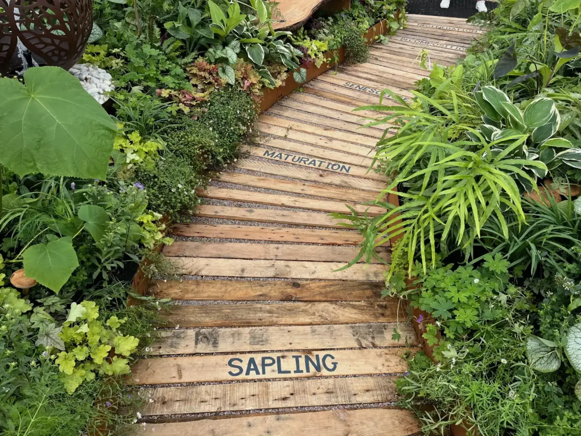 A wooden boardwalk path, inscribed with lifecycle words, winds through a lush green and variegated plant garden.