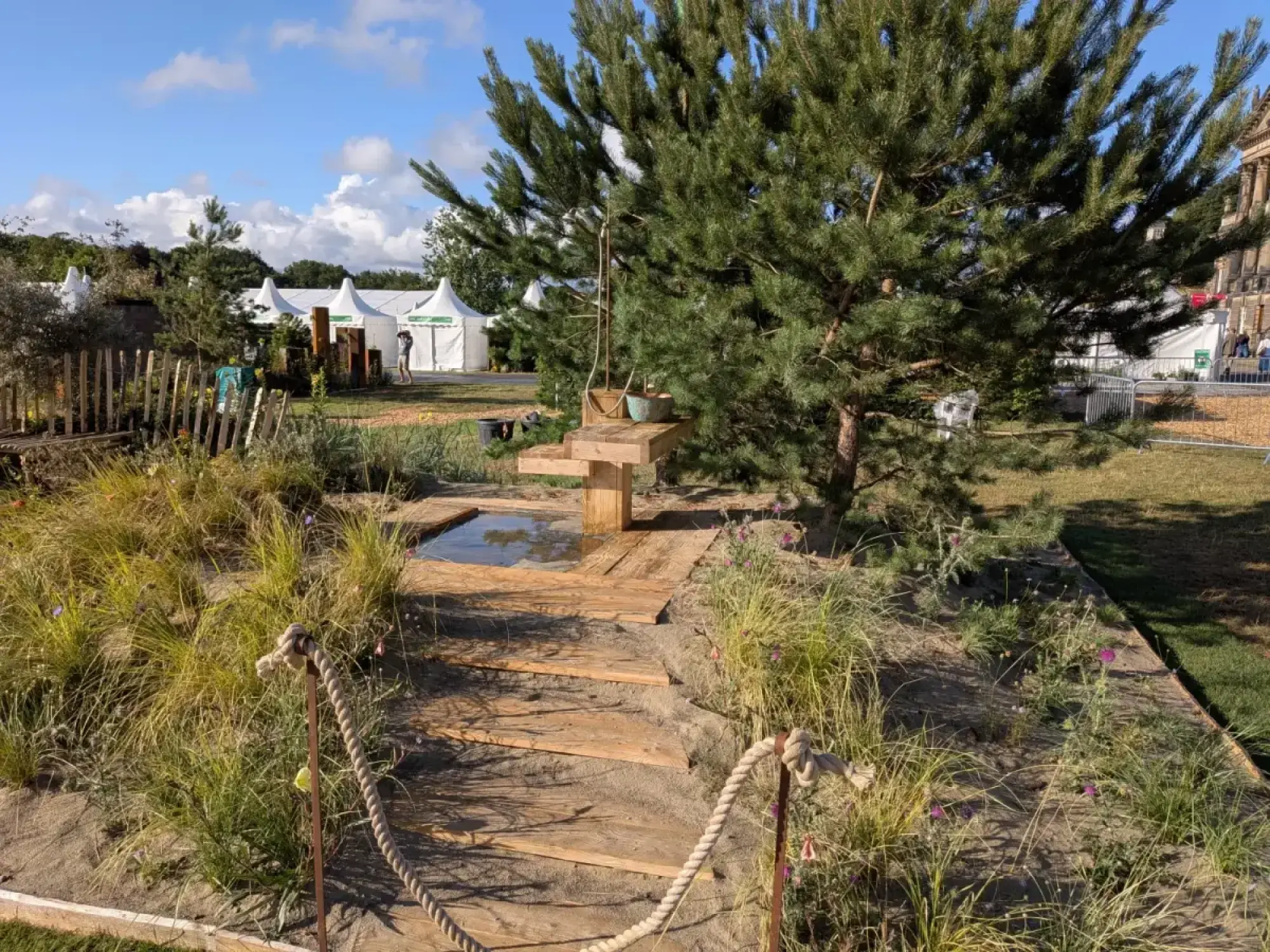 A sandy garden features a wooden path, a raised timber water feature under a large pine, and grasses, delineated by a rope.