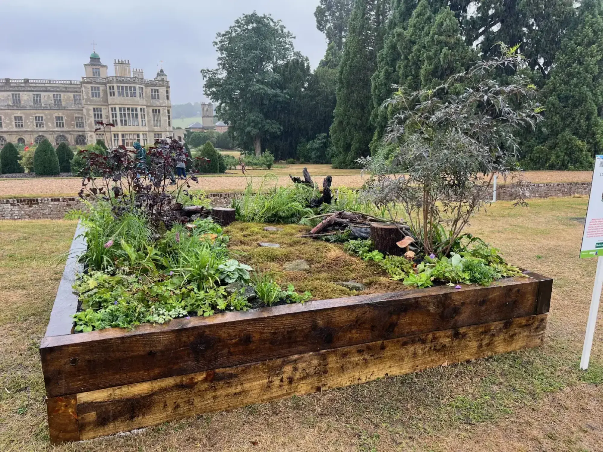 A naturalistic shade garden in a dark timber raised bed features a mossy path, tree stumps, and lush green and purple foliage plants.