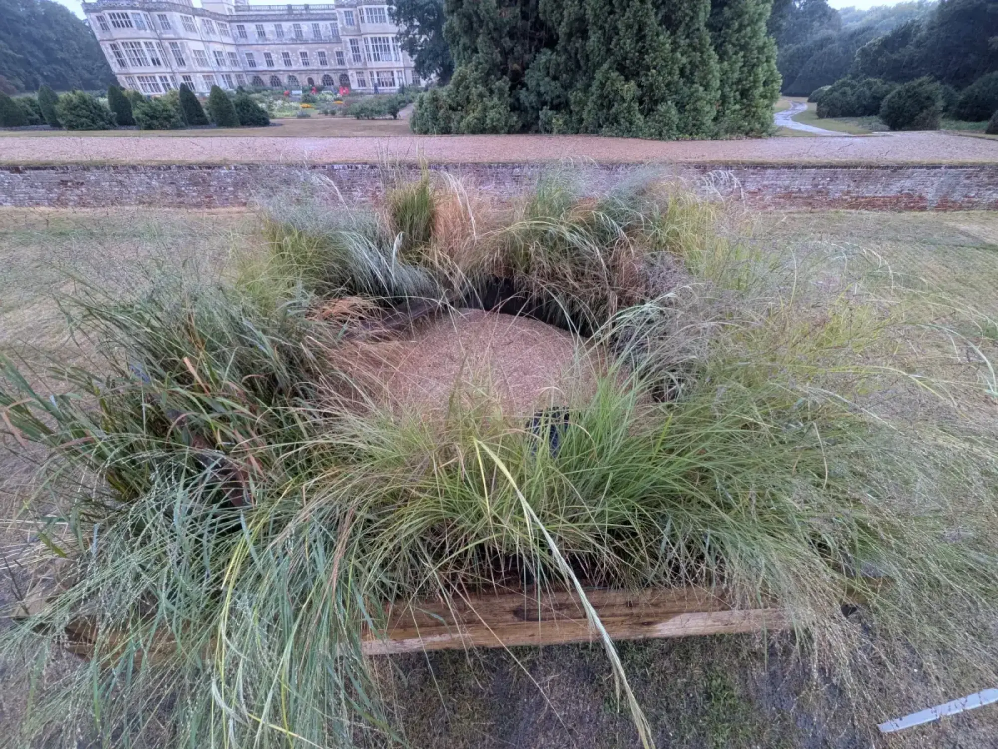 A circular border garden features a nest-like mound of sand surrounded by flowing green and brown ornamental grasses within a wooden frame.