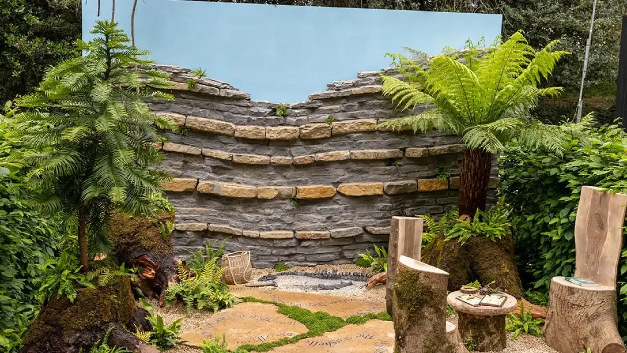 A naturalistic container garden features a layered stone wall, tree stump seating, and engraved paving, with a Wollemia pine and tree ferns.