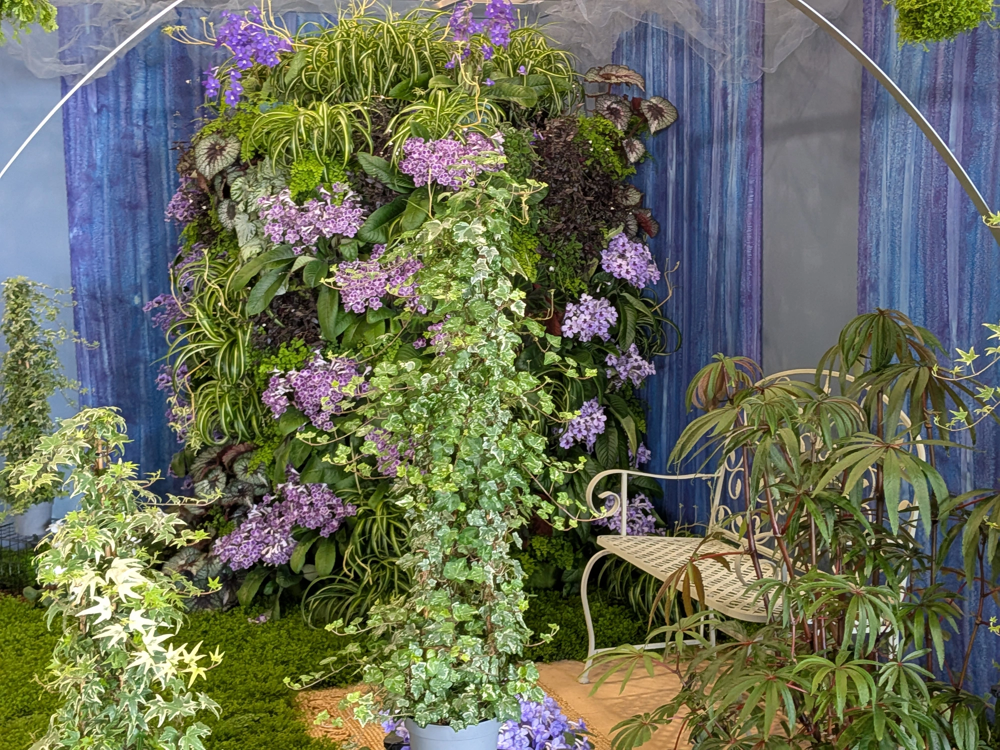 A lush indoor plant garden features a tall living wall with purple flowers and varied foliage, beside a cream wrought iron chair and potted plants.