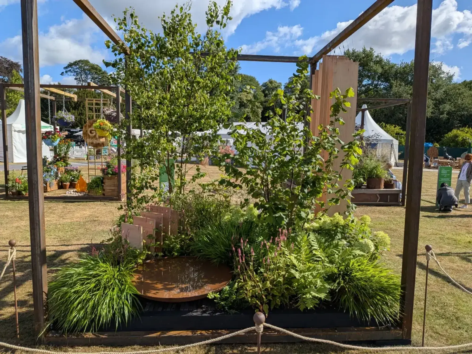 A contemporary cube garden features a dark metal frame enclosing birches, ferns, grasses, and a Corten steel water bowl with wooden screen panels.