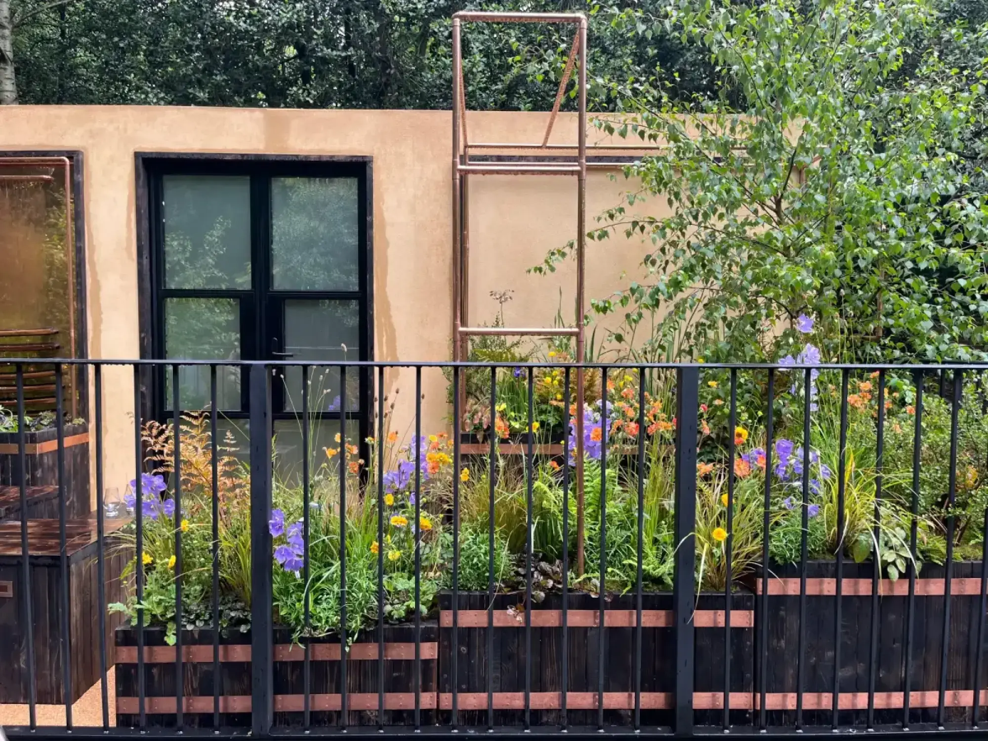 A balcony garden has dark wood planters with copper bands, vibrant flowers, ferns, and a birch tree, against a beige wall.