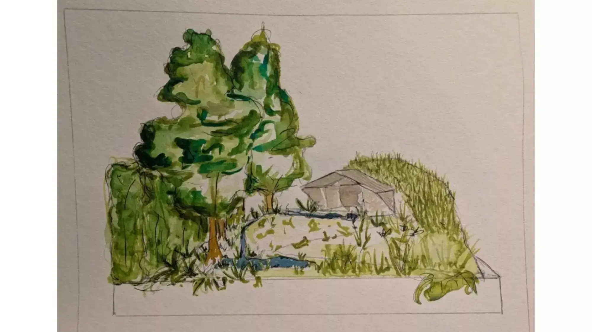 A naturalistic wildlife garden features a small wooden bird hide nestled among tall deciduous trees, a pond with aquatic plants, and lush green foliage.