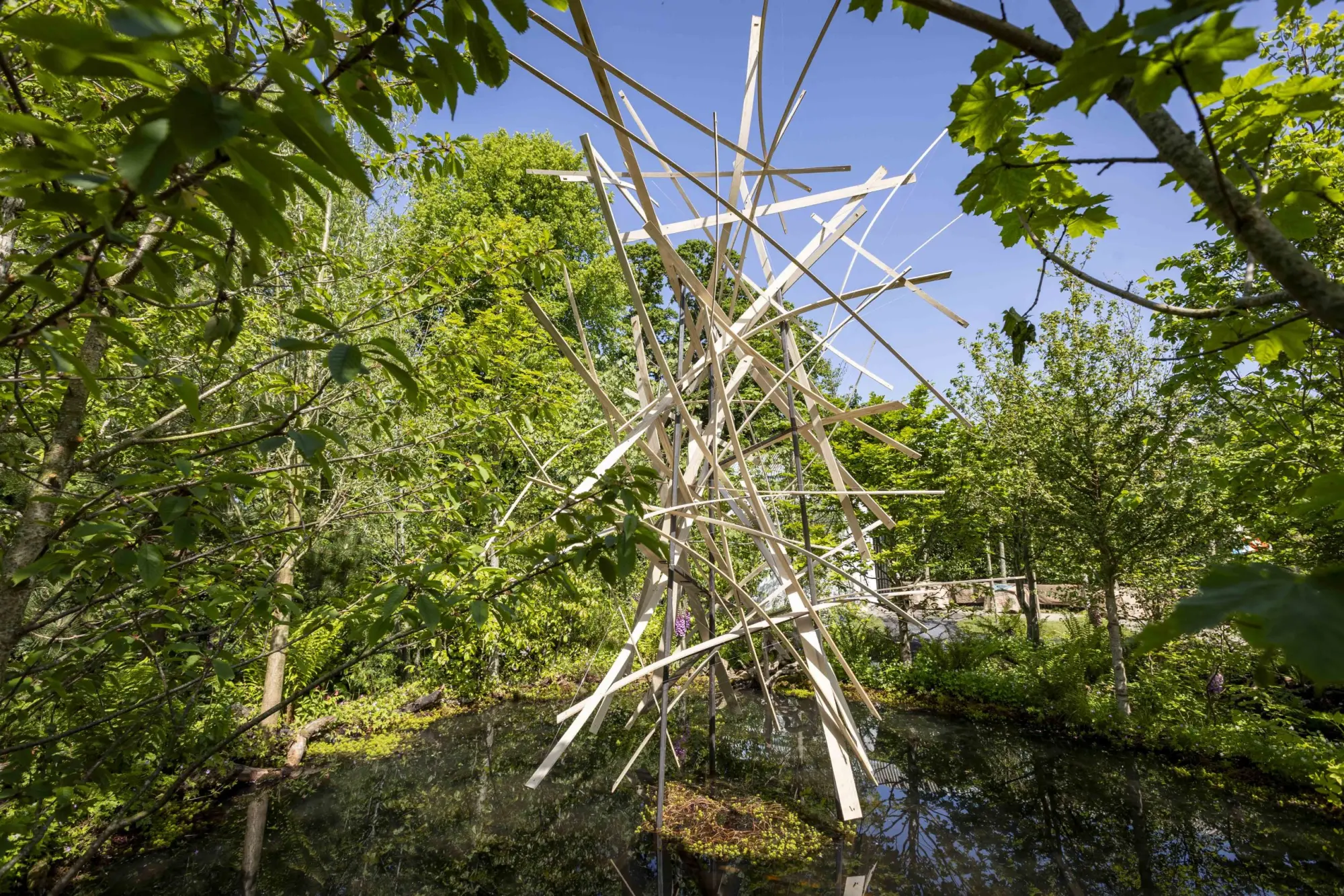 Shared Roots, Common Shade