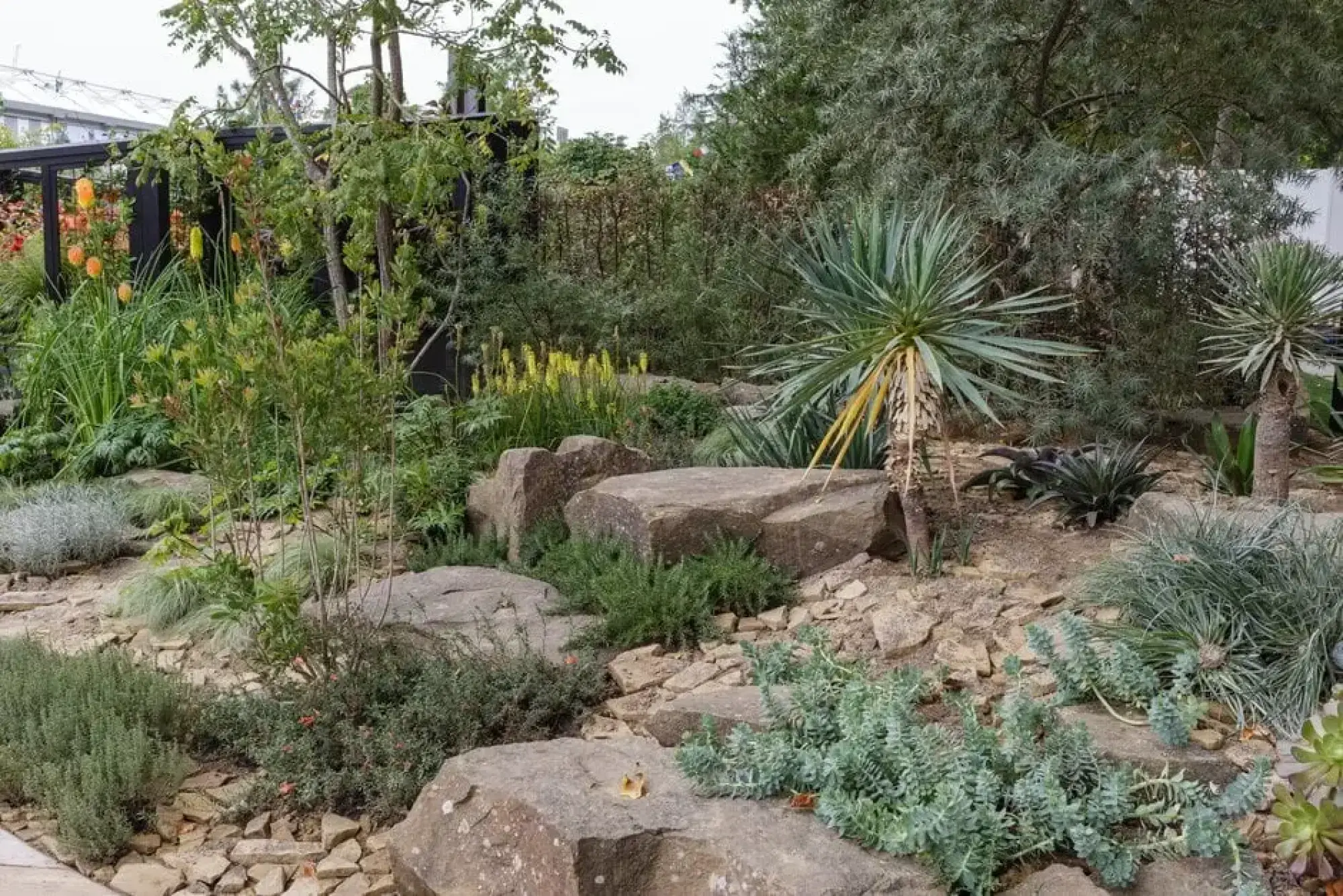 A naturalistic, drought-tolerant garden features large boulders, rocky terrain, various yucca and agave plants, and spires of orange and yellow Kniphofia.