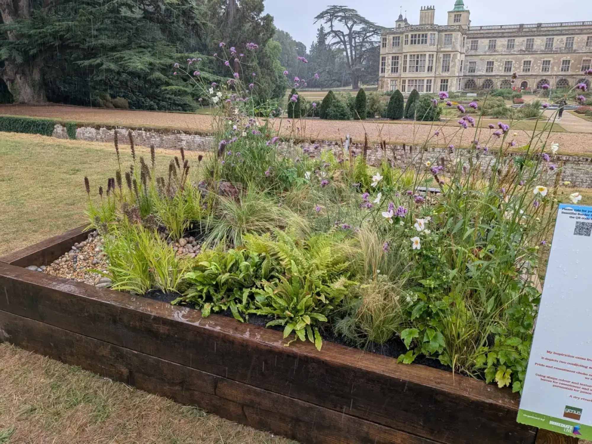 A raised timber border features naturalistic planting, including tall purple verbena, white flowers, ferns, and ornamental grasses, with a decorative pebble area.
