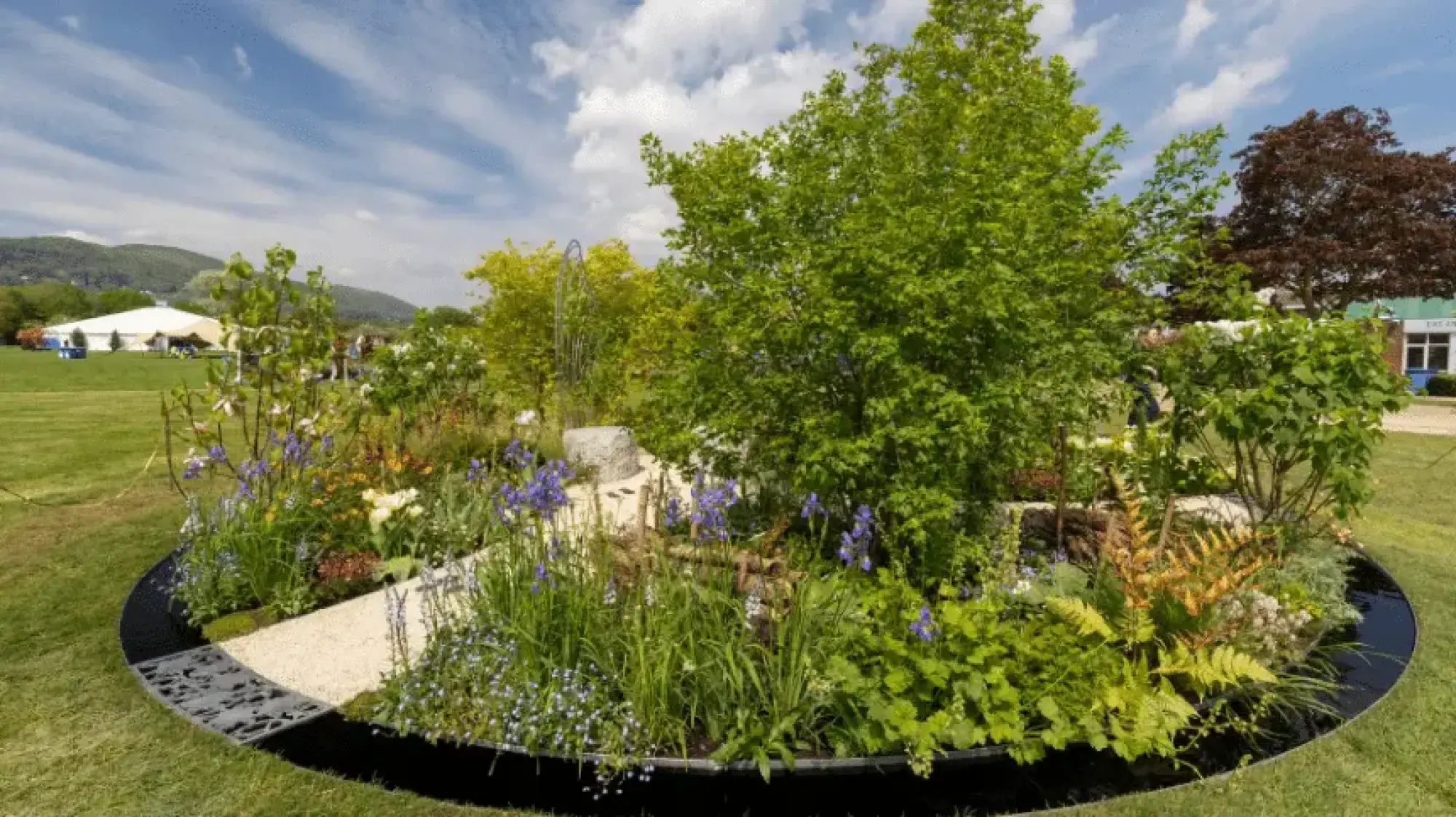 A tranquil, circular show garden with lush trees, purple irises, ferns, and a pale gravel path, enclosed by a black metal edge.