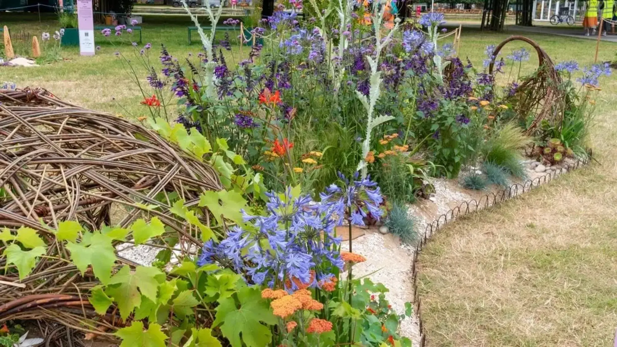 A colourful pocket garden featuring large woven willow structures, a gravel path, and vibrant plantings of blue agapanthus, purple salvia, and orange yarrow.