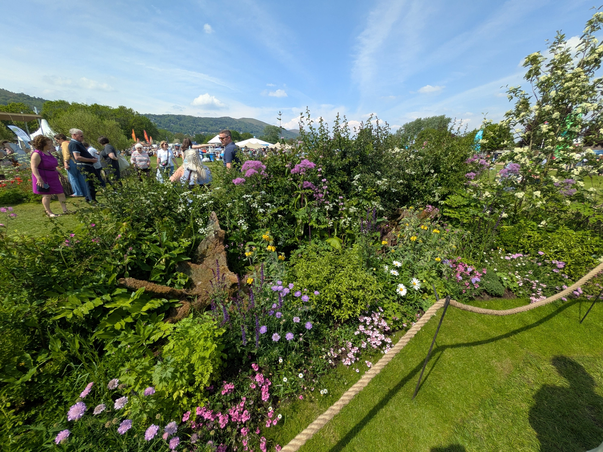 A vibrant garden border features a large natural tree stump surrounded by a dense mix of pink, purple, white, and yellow flowering perennials and lush green foliage.