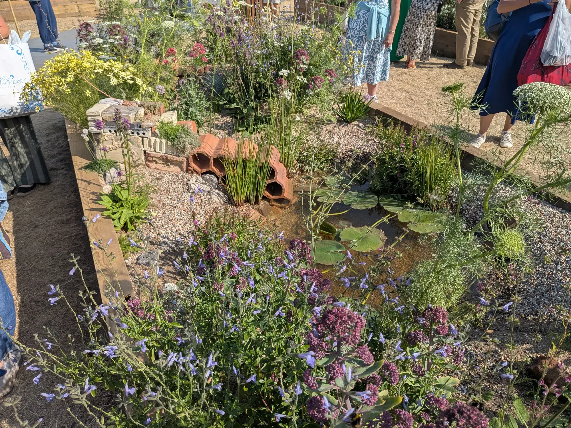 A rustic long border garden with a wildlife pond, water lilies, broken terracotta pipes, stacked bricks, gravel, and a mix of purple salvia and yellow perennial flowers.