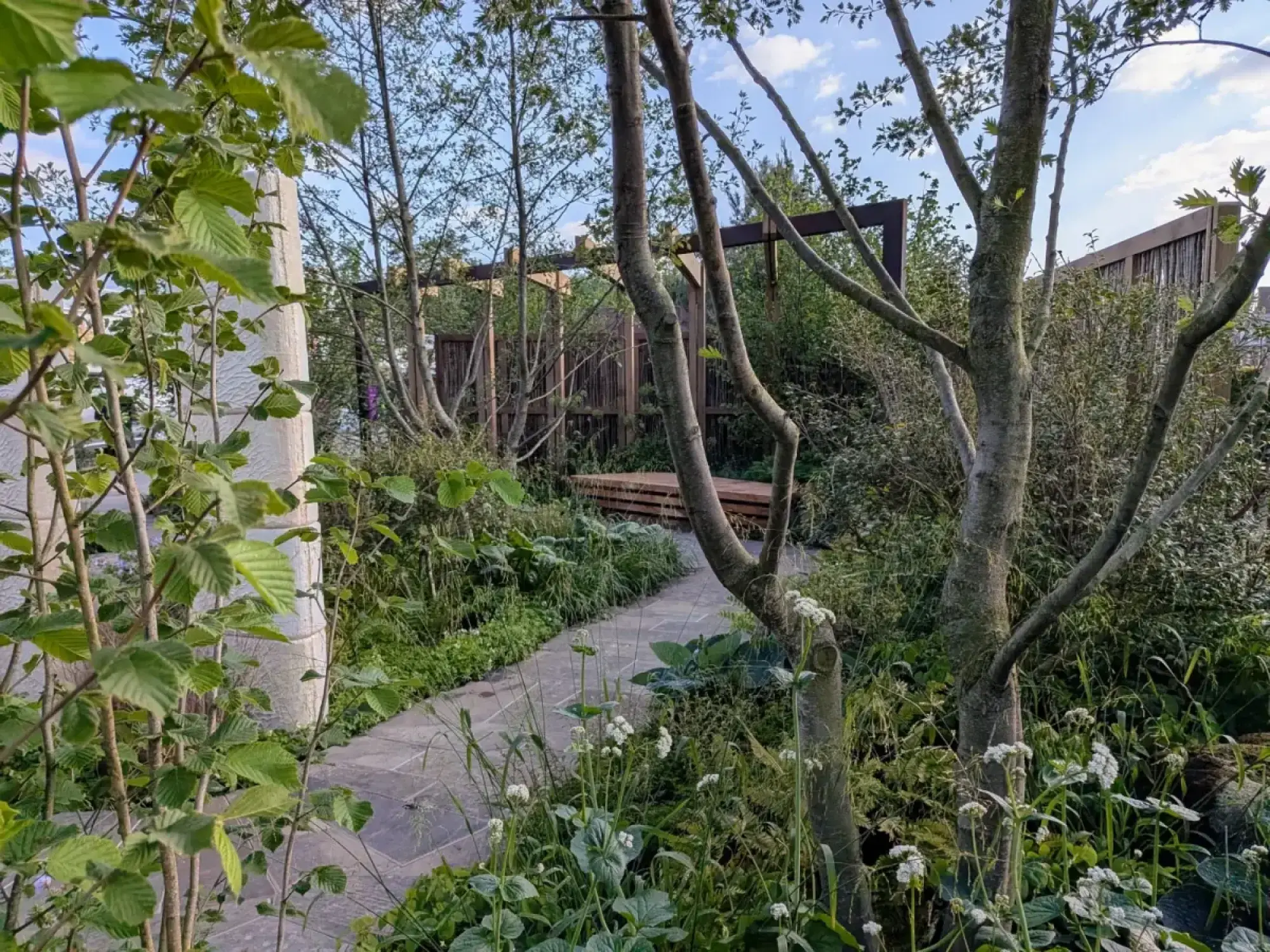 A winding grey flagstone path is surrounded by lush, naturalistic green foliage, white flowers, and slender trees, leading to a timber platform.