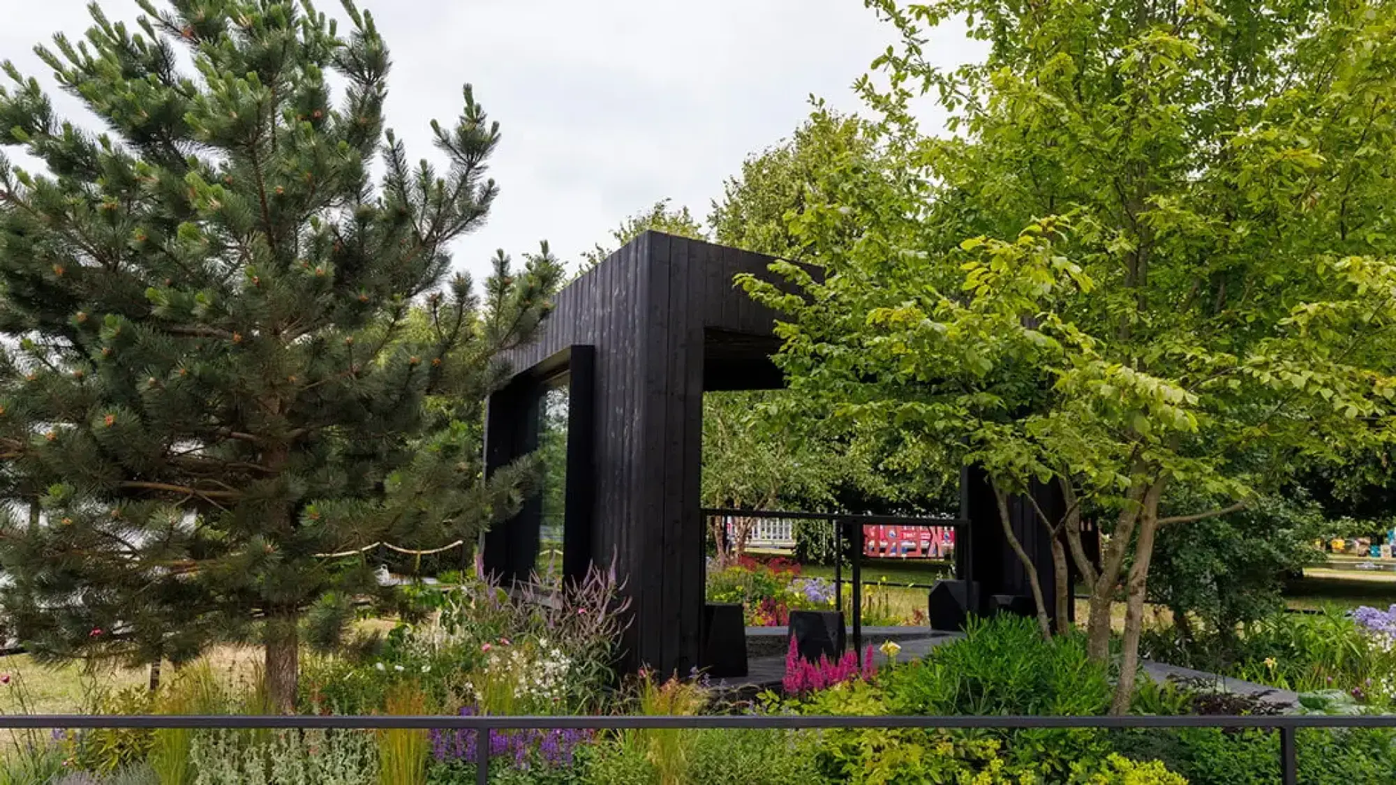 A contemporary garden with a black timber pavilion on a raised dark platform, bordered by a large pine tree and colourful mixed herbaceous plants.