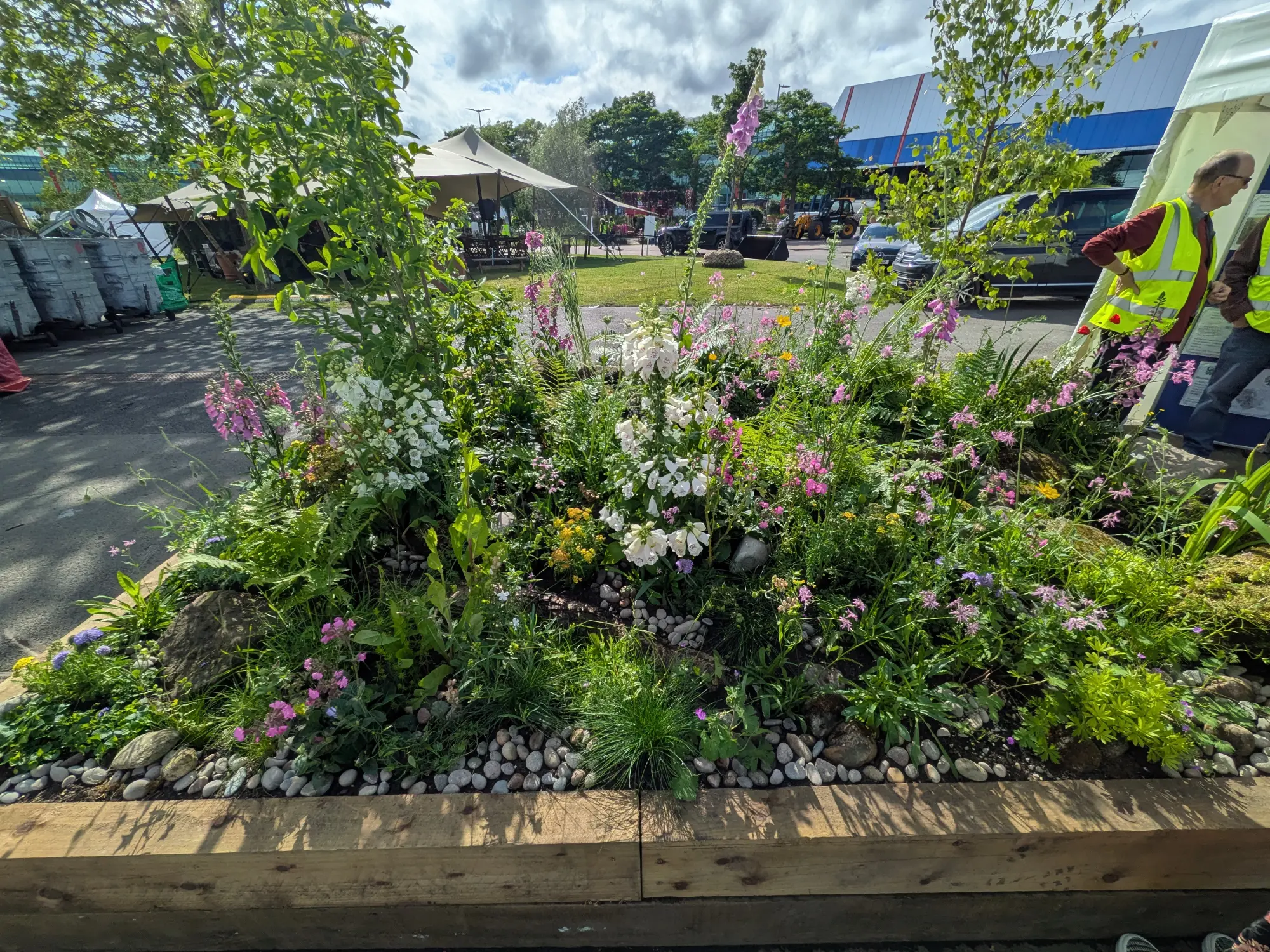 A vibrant raised timber border featuring a lush mix of white, pink, purple, and yellow flowers, ferns, and small trees, edged by large rocks and small pebbles.