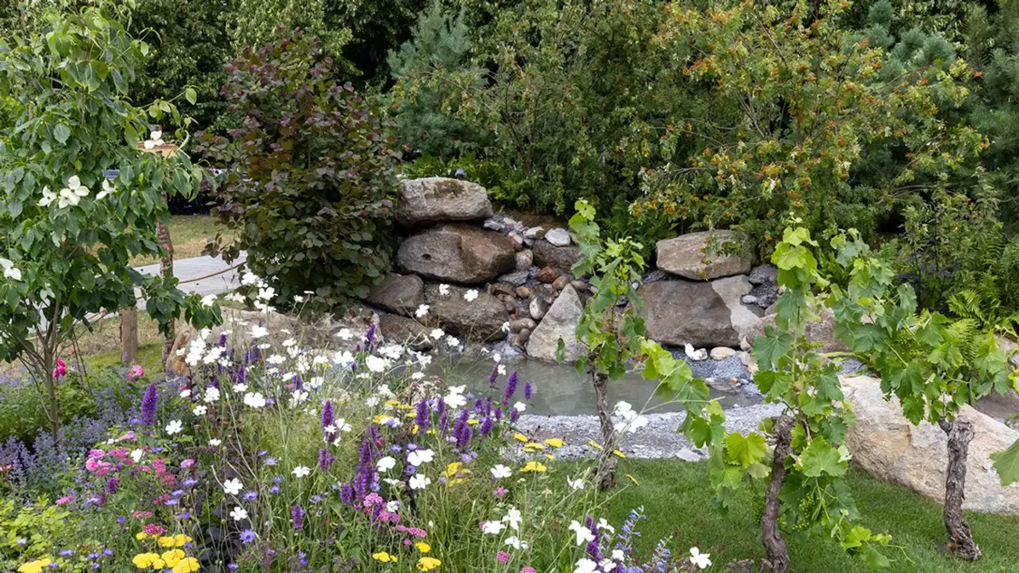 A naturalistic show garden features a rock waterfall flowing into a boulder-lined pond, bordered by a vibrant wildflower meadow and grapevines.