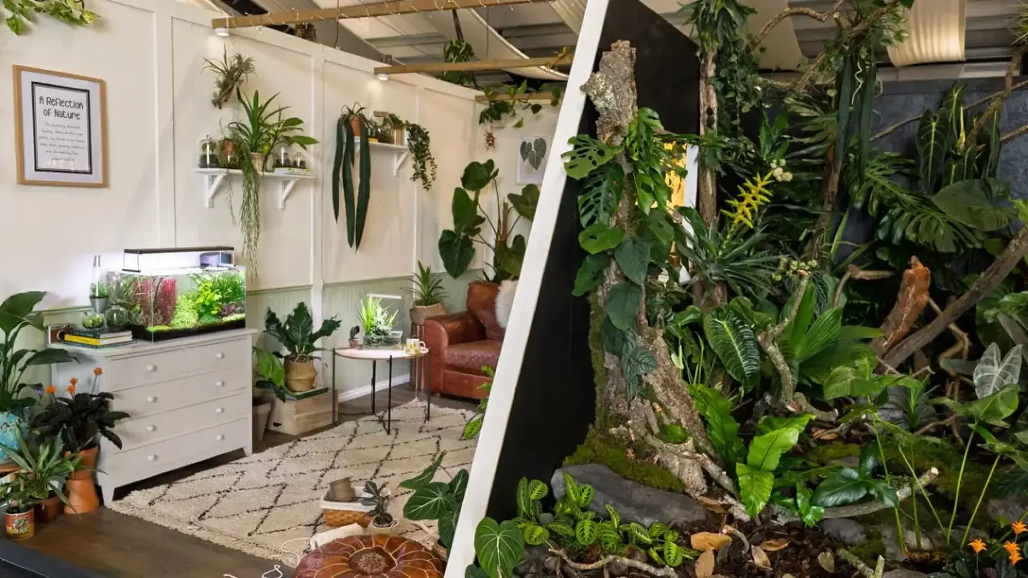 A lush indoor plant garden combines a living room space with a planted aquarium and a dense jungle vivarium with a mossy tree trunk.