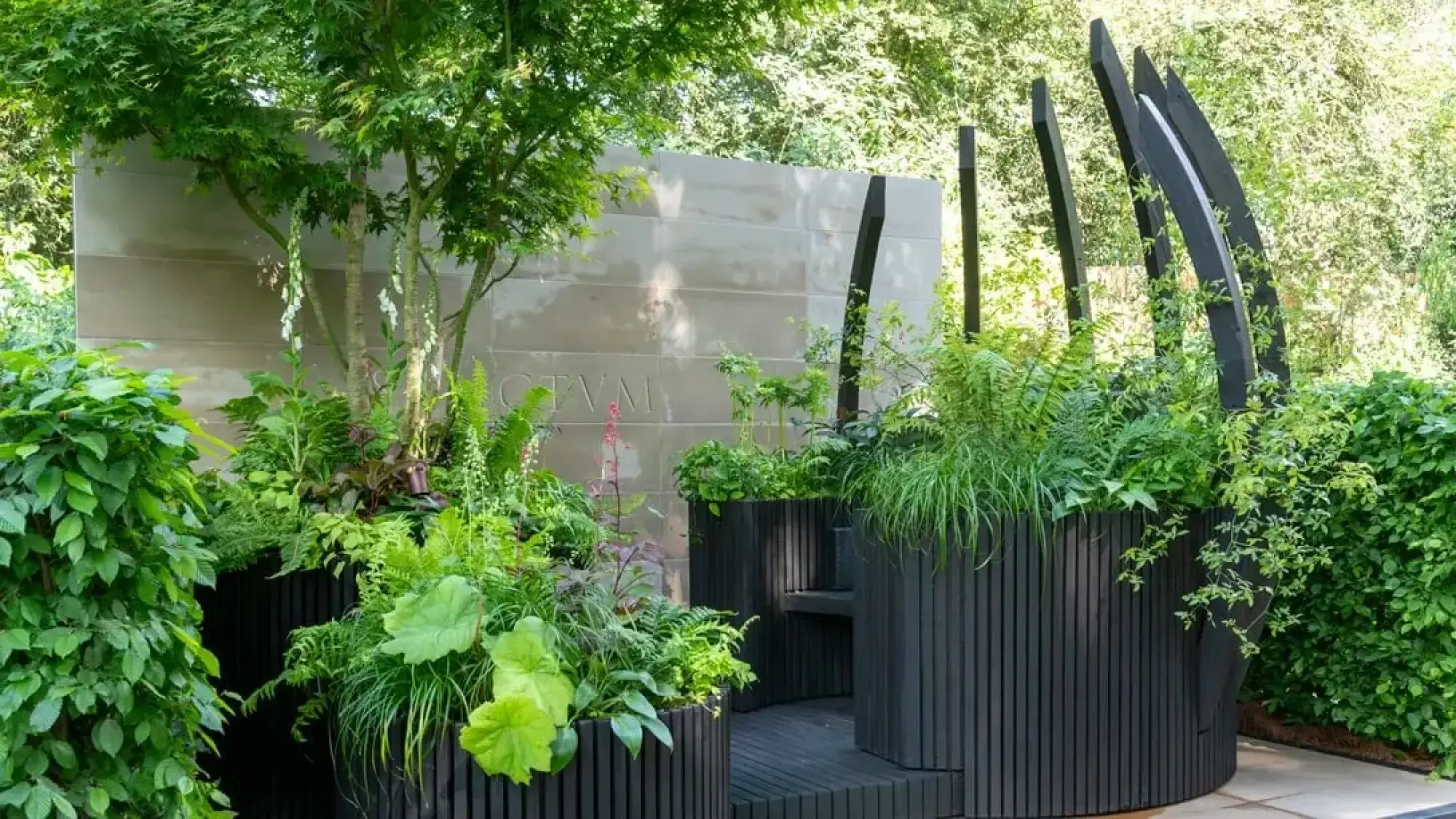 This container garden features dark slatted planters, a timber deck, and curved black sculptures, lush with ferns and a Japanese maple.