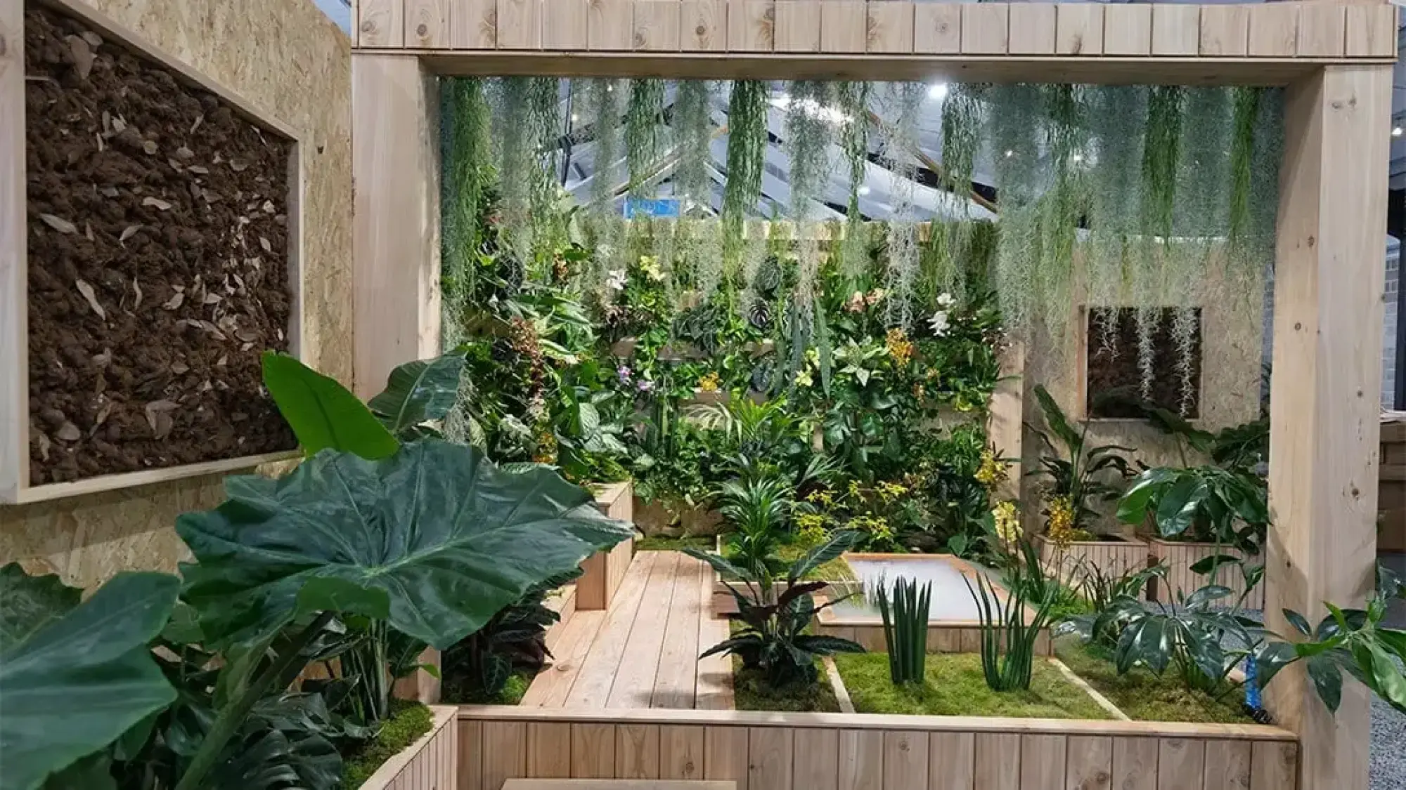 A lush indoor garden with a vertical plant wall, hanging Spanish moss, a timber deck, tropical plants, and white and yellow orchids.
