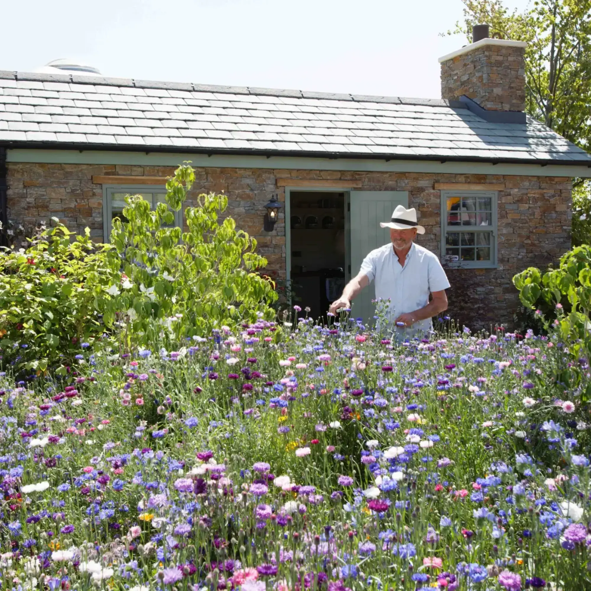 A vibrant wildflower meadow in shades of blue, purple, pink, and white blooms in front of a rustic stone garden building with a slate roof.