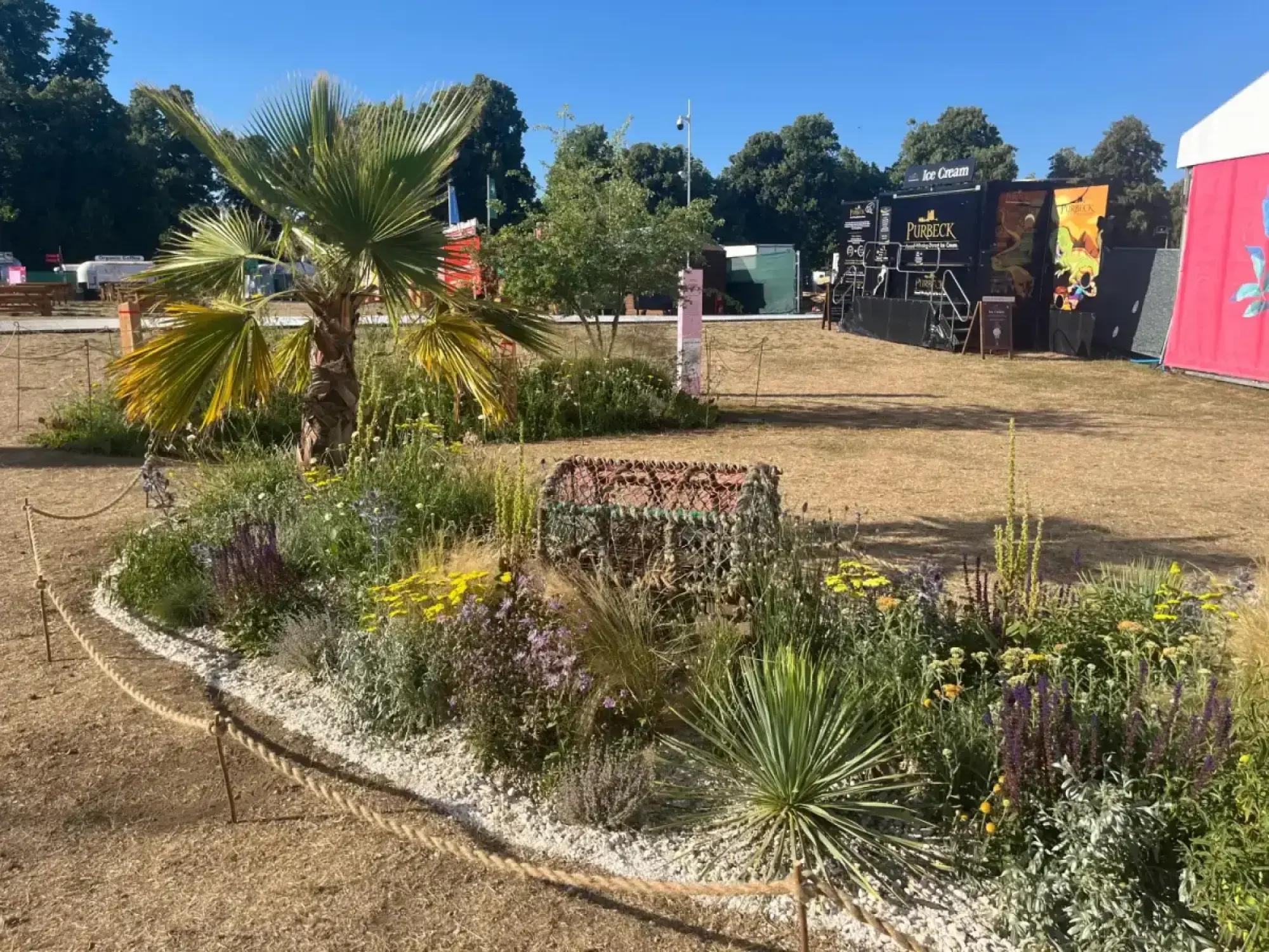 A small, informal Pocket Planting garden features a central palm tree, a woven planter, yucca, and a mix of yellow and purple flowering plants edged with white pebbles.