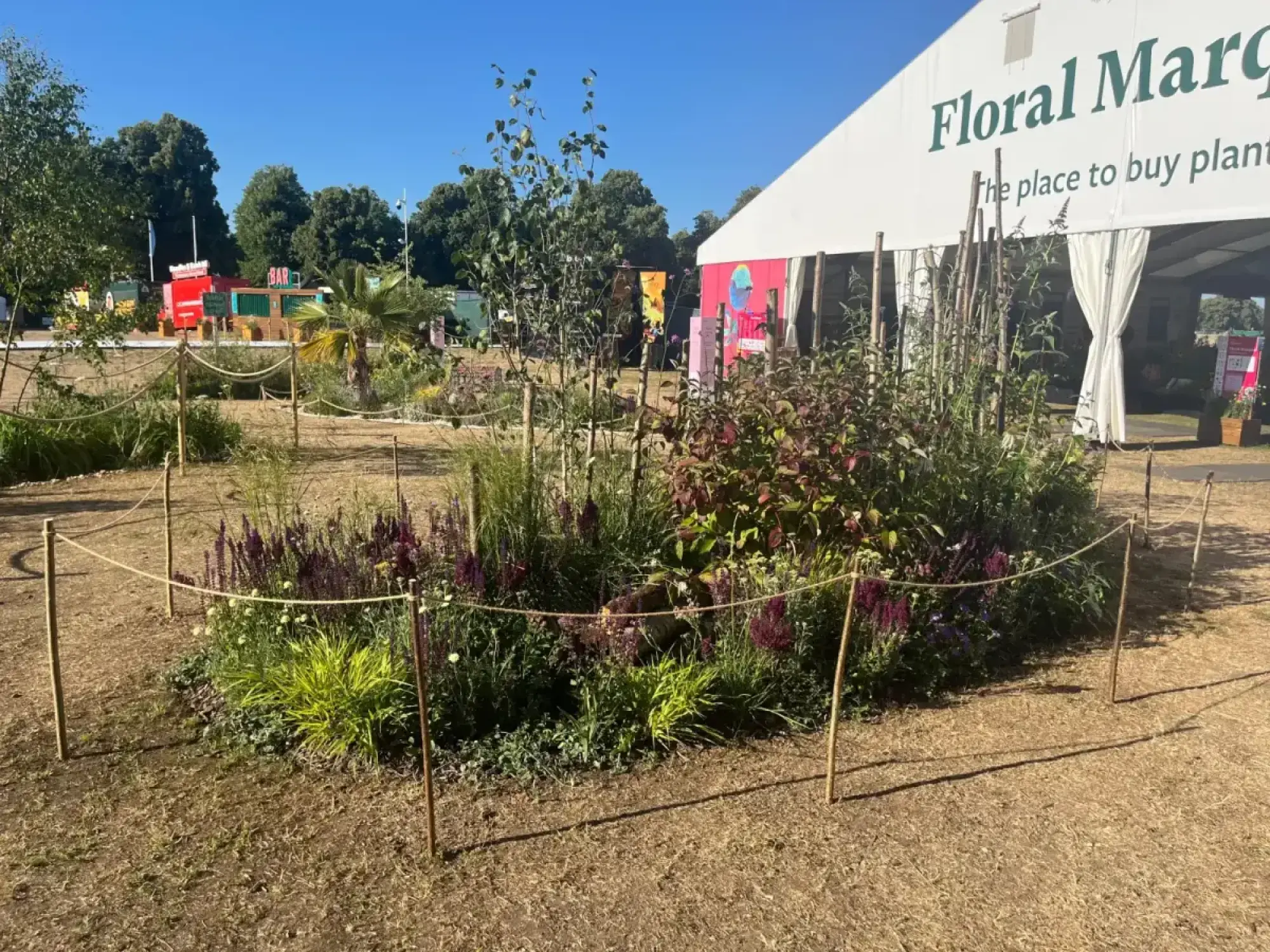 A vibrant pocket planting designed for wildlife features tall slender trees, shrubs with reddish-purple foliage, spiky purple flowers, and bright green grasses.