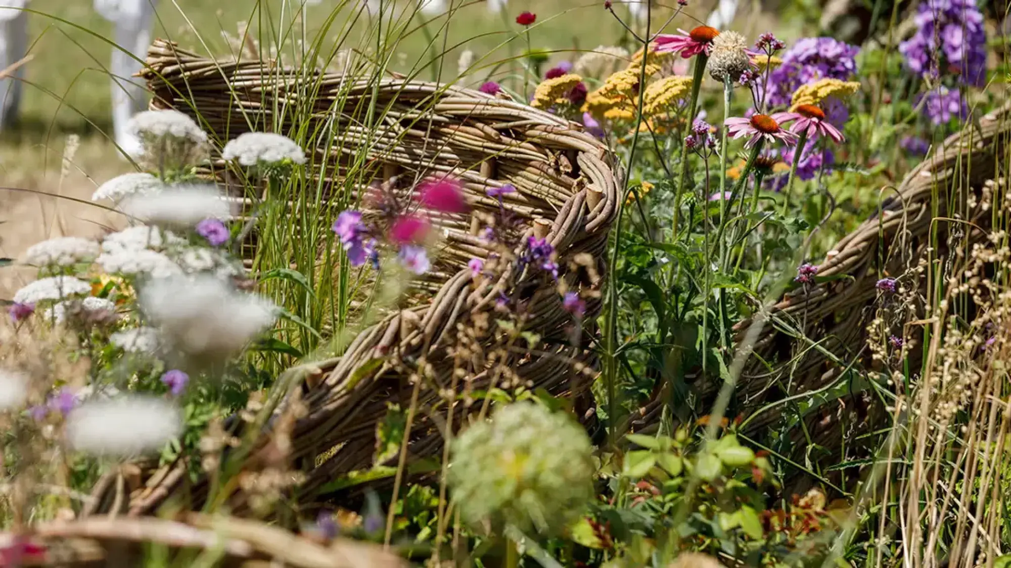 A woven willow fence curves through an informal garden, surrounded by a vibrant mix of pink, purple, yellow, and white flowers and tall green grasses.