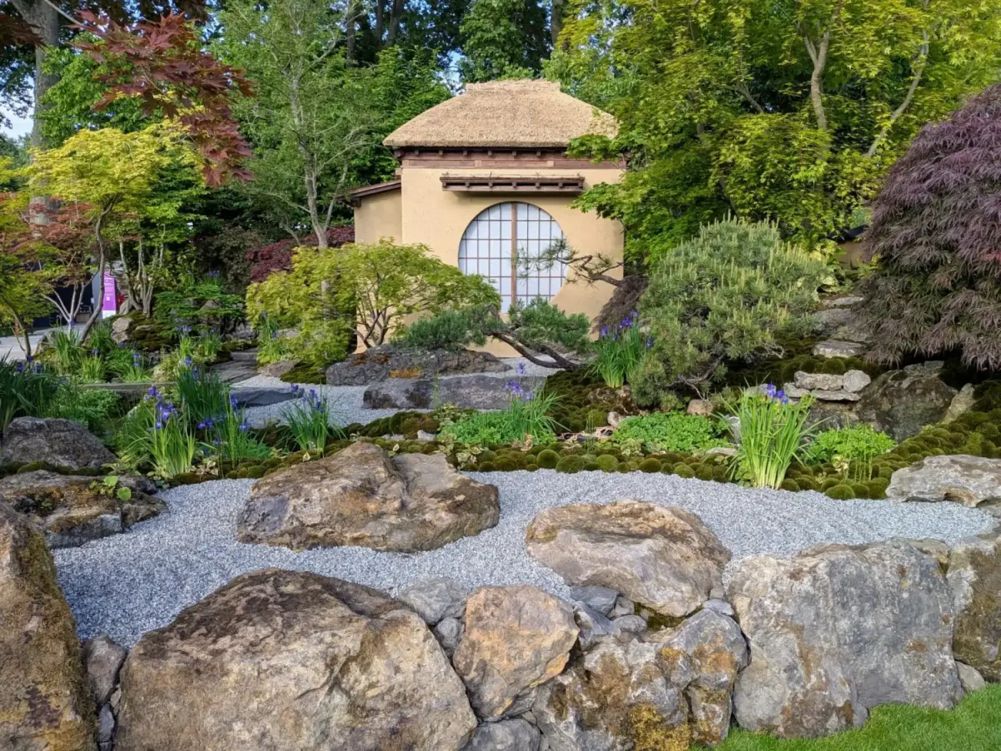 A tranquil Japanese garden featuring a thatched tea house, a dry gravel stream, large mossy boulders, dwarf conifers, and colorful Japanese maples.