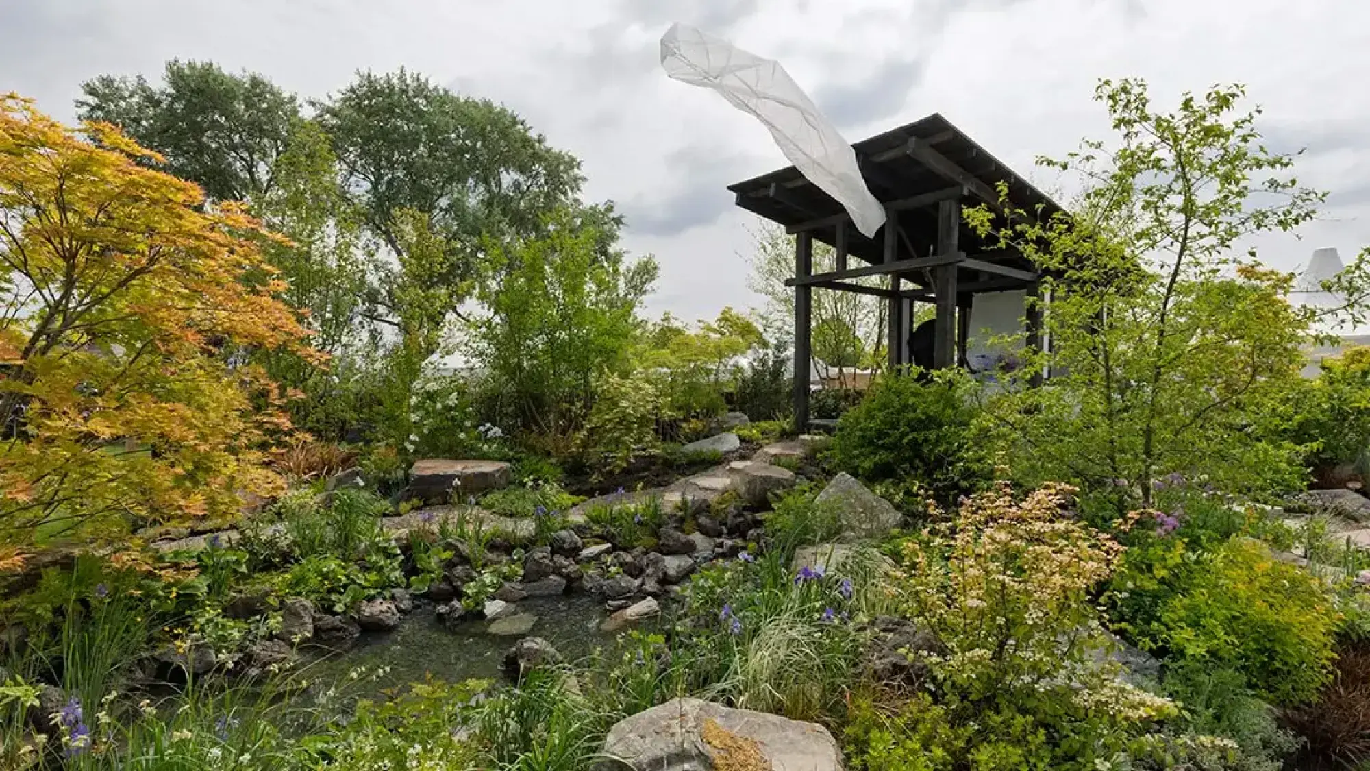 A tranquil, Japanese-inspired show garden with a dark timber pavilion, white windsock, winding rock stream, and lush green and golden maple foliage.