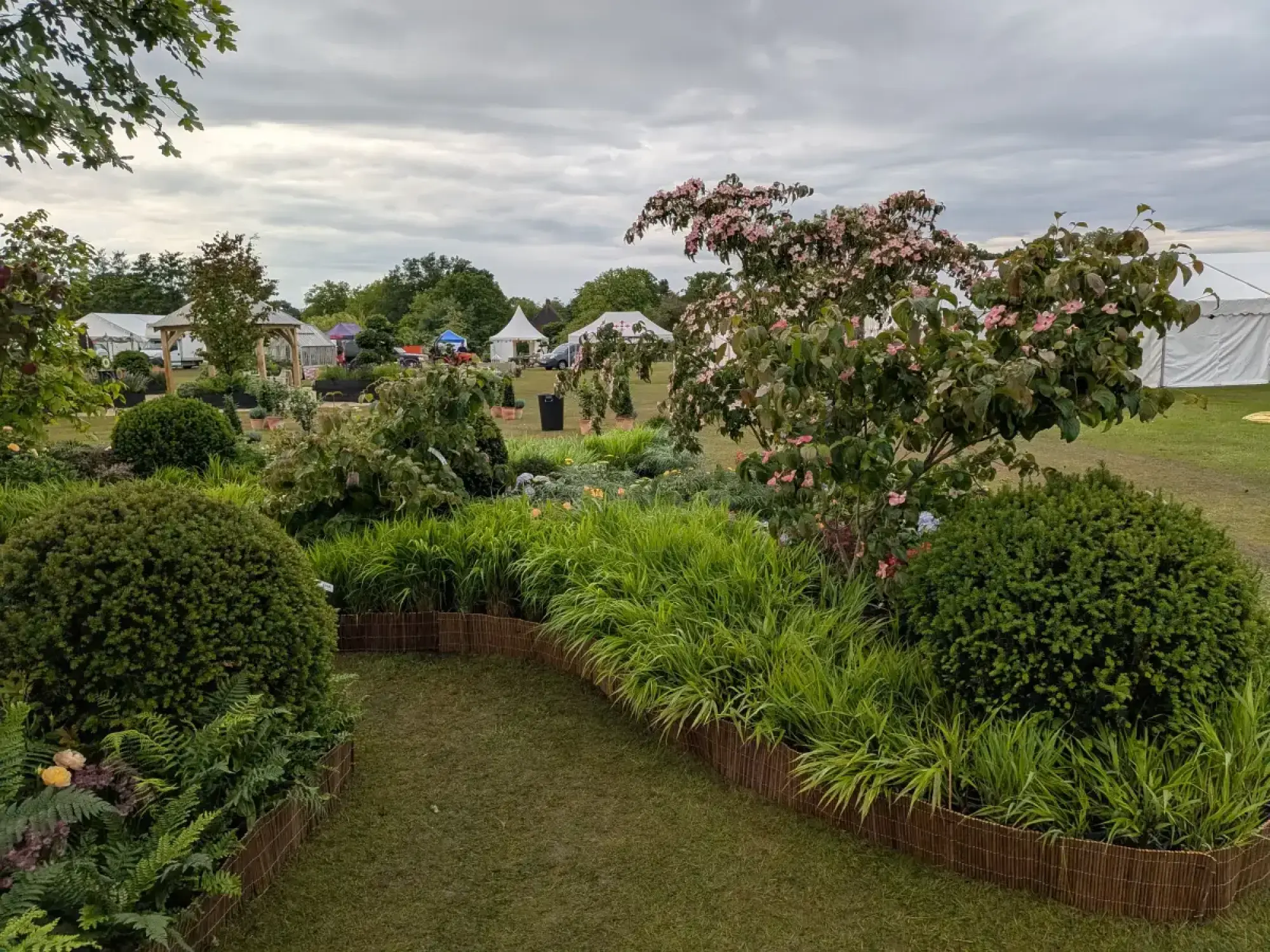 A show garden with a curving lawn path through lush green planting beds, including spherical shrubs, grasses, and a pink flowering tree.