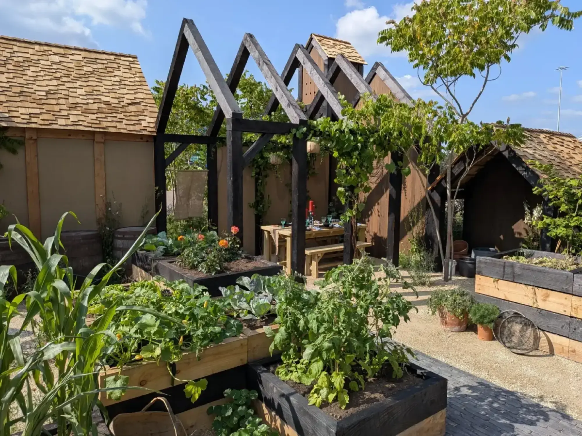 A modern rustic edible garden with black timber A-frame structures, shingle roofs, an integrated bug hotel, a picnic table, and raised beds full of corn, tomatoes, and other food plants.