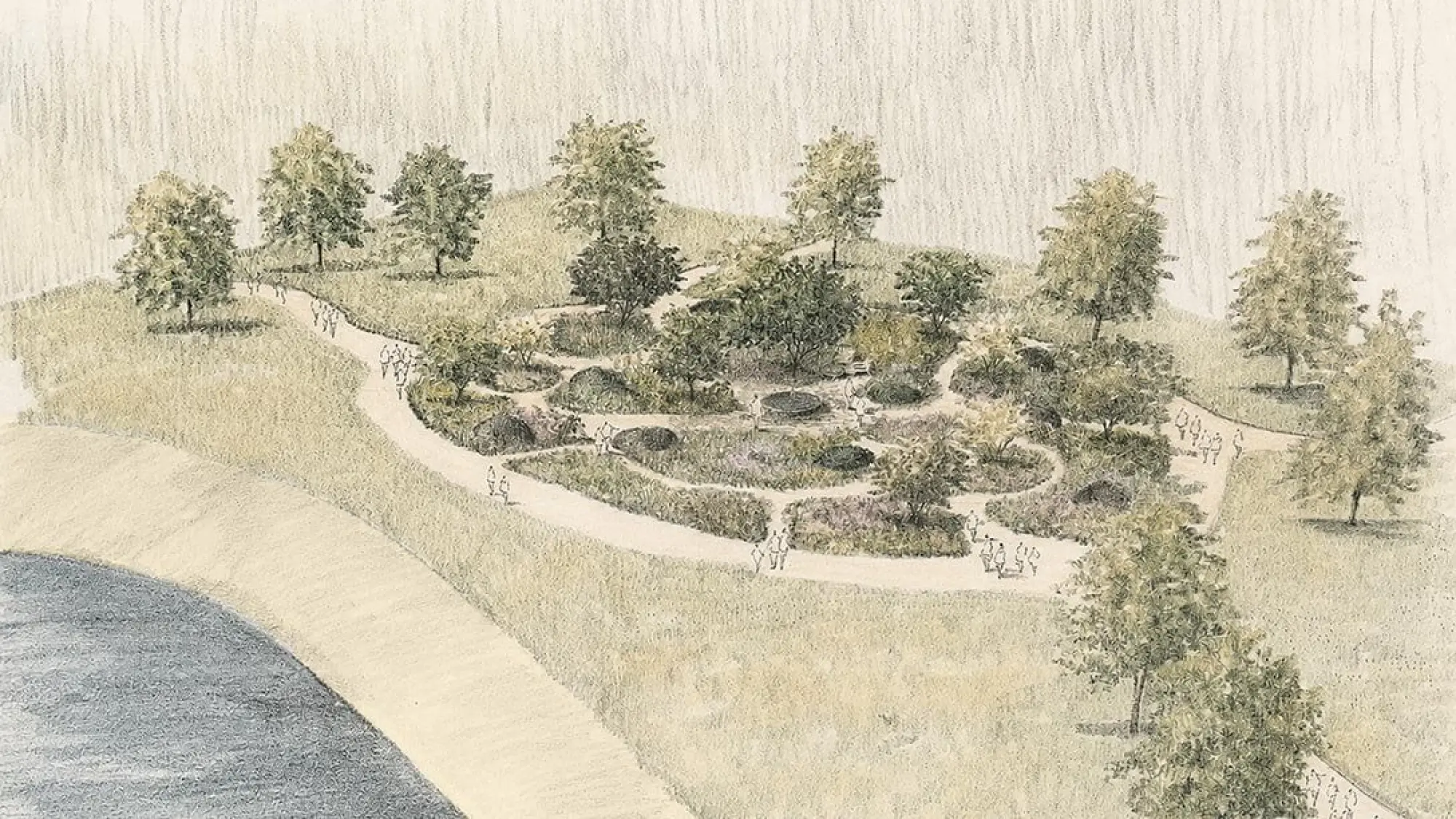 The Julia Rausing Garden
