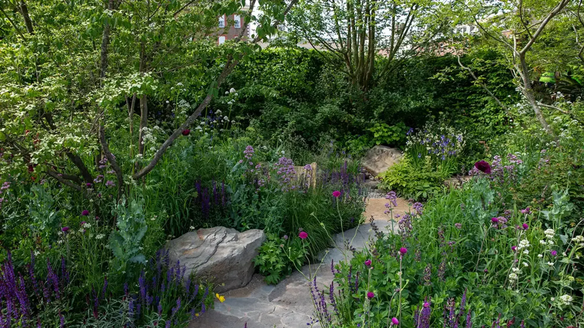 A sanctuary garden has a winding flagstone path, large boulders, dense planting, and trees with purple, magenta, white, and blue flowers.
