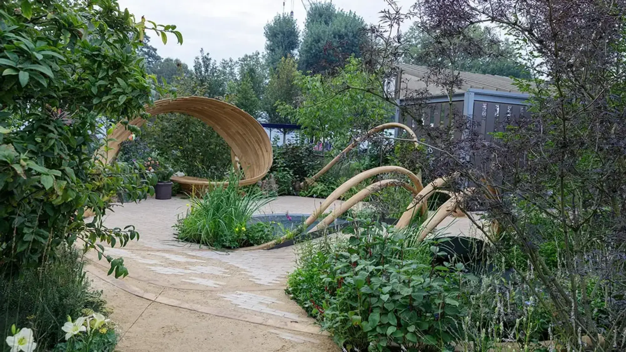 A modern garden with striking curved timber forms, a circular wooden bench, and a water feature, amidst lush green plants and a light paved path.