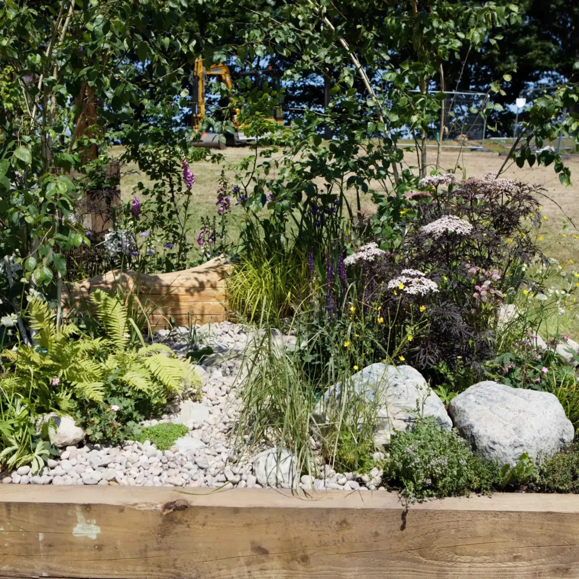A naturalistic border garden featuring large grey rocks, a cut log, ferns, purple foxgloves, and dark-leaved plants with white flowers, all set within a timber-edged bed filled with light-coloured pebbles.