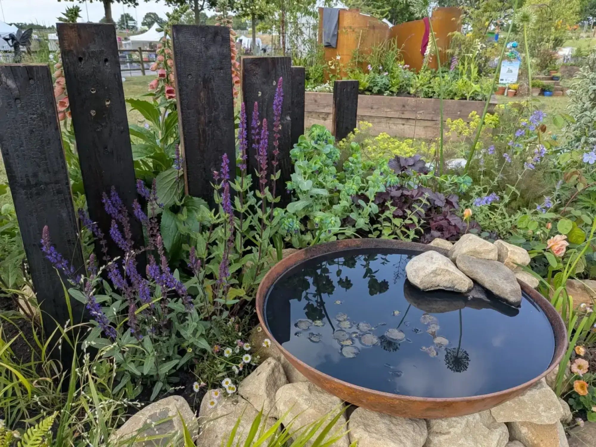 A contemporary garden border features dark charred timber posts, a rusted metal water bowl with stones, and a vibrant mix of purple salvia, pink foxgloves, and green foliage.