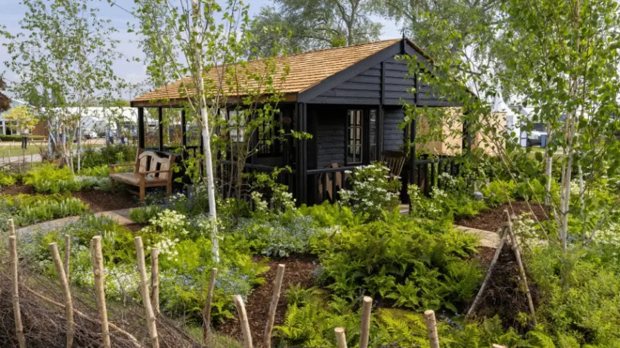 A black timber cabin with a light shingle roof is surrounded by silver birch trees, lush ferns, white and blue flowers, and a wooden bench.