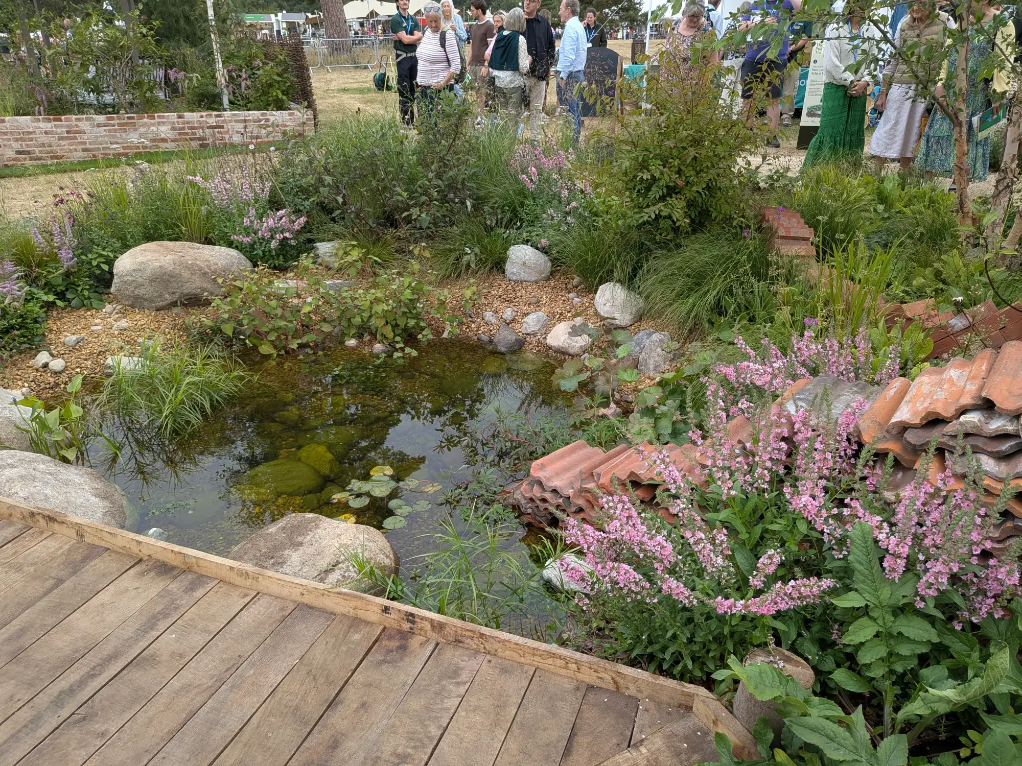 A naturalistic wildlife pond with a wooden boardwalk, surrounded by lush green plants, pink flowers, large boulders, and stacked terracotta tiles.