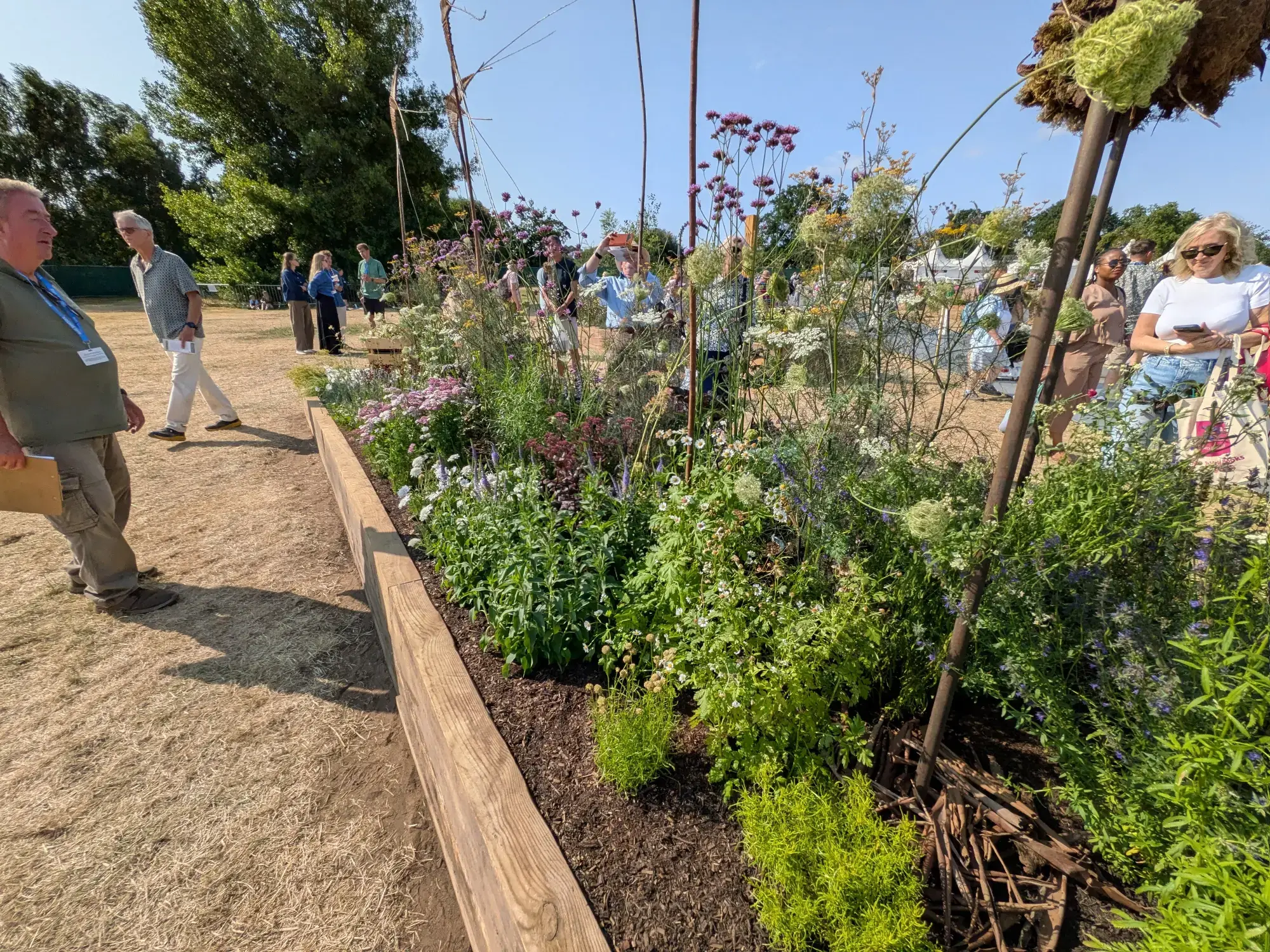 A long border garden filled with purple and white wildflowers, green foliage, rusty metal poles, and woven twig sculptures, contained by a timber border.