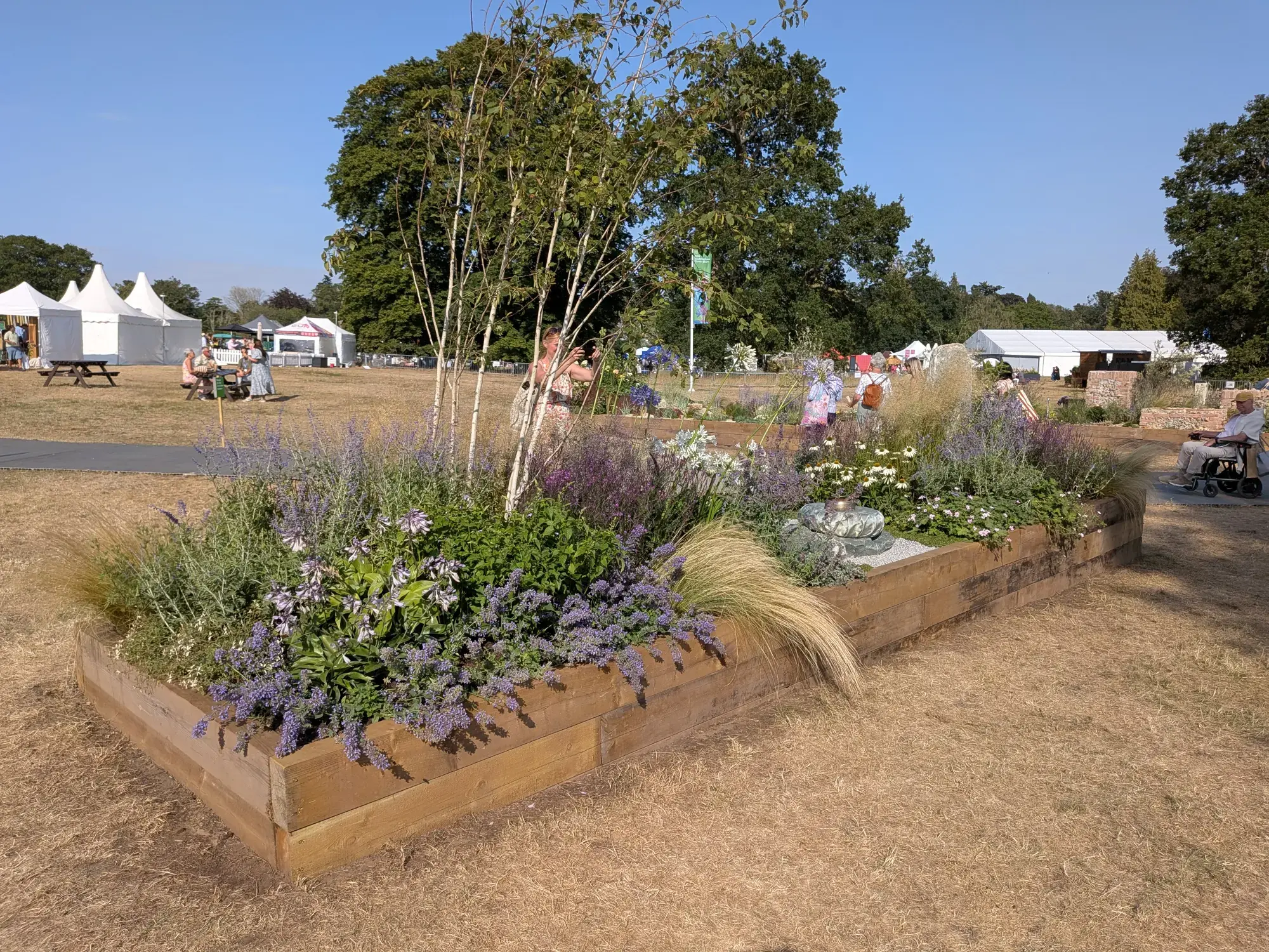 A long timber raised border filled with multi-stem birch trees, purple and white flowers, and ornamental grasses, featuring a decorative stone object.