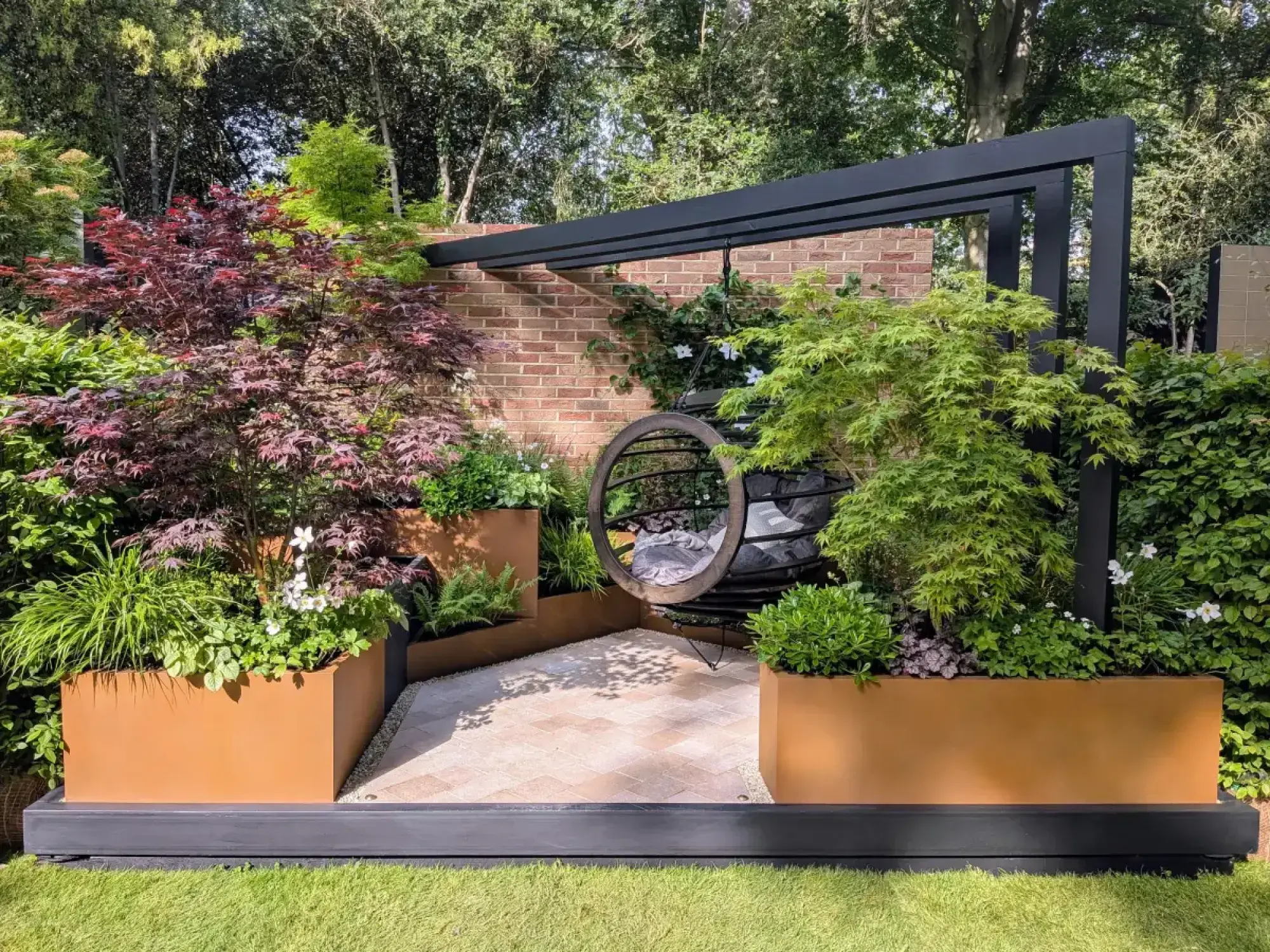 A contemporary container garden with a black timber pergola, a circular hanging chair, and corten steel planters with Japanese maples and white flowers on a pale patio.