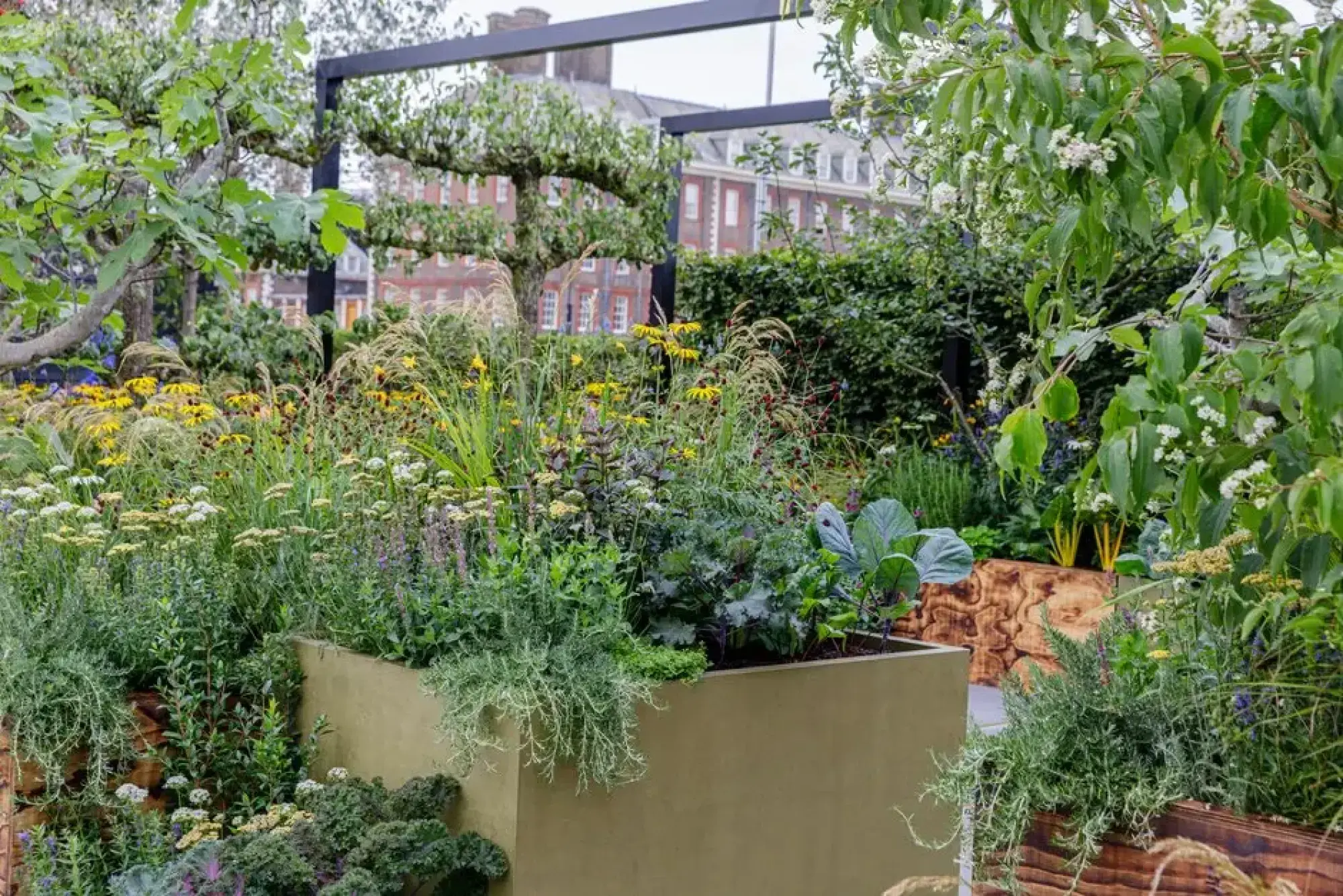 A sanctuary garden with an olive-green raised planter brimming with edibles, herbs, and yellow and white flowers, framed by timber and a black pergola.