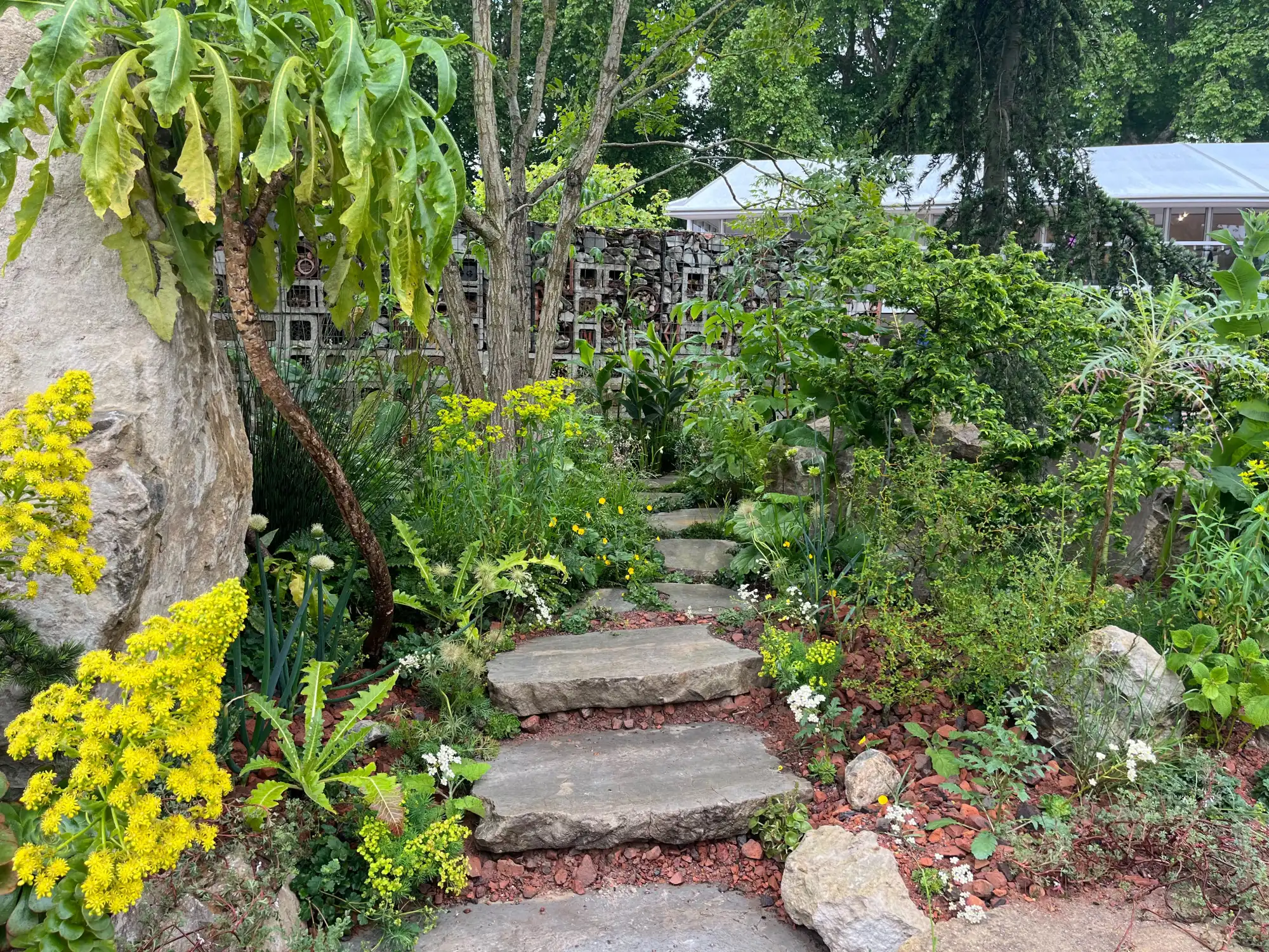 A naturalistic garden features a winding stone stepping path through lush green and yellow foliage, surrounded by large boulders and a unique gabion-style wall.